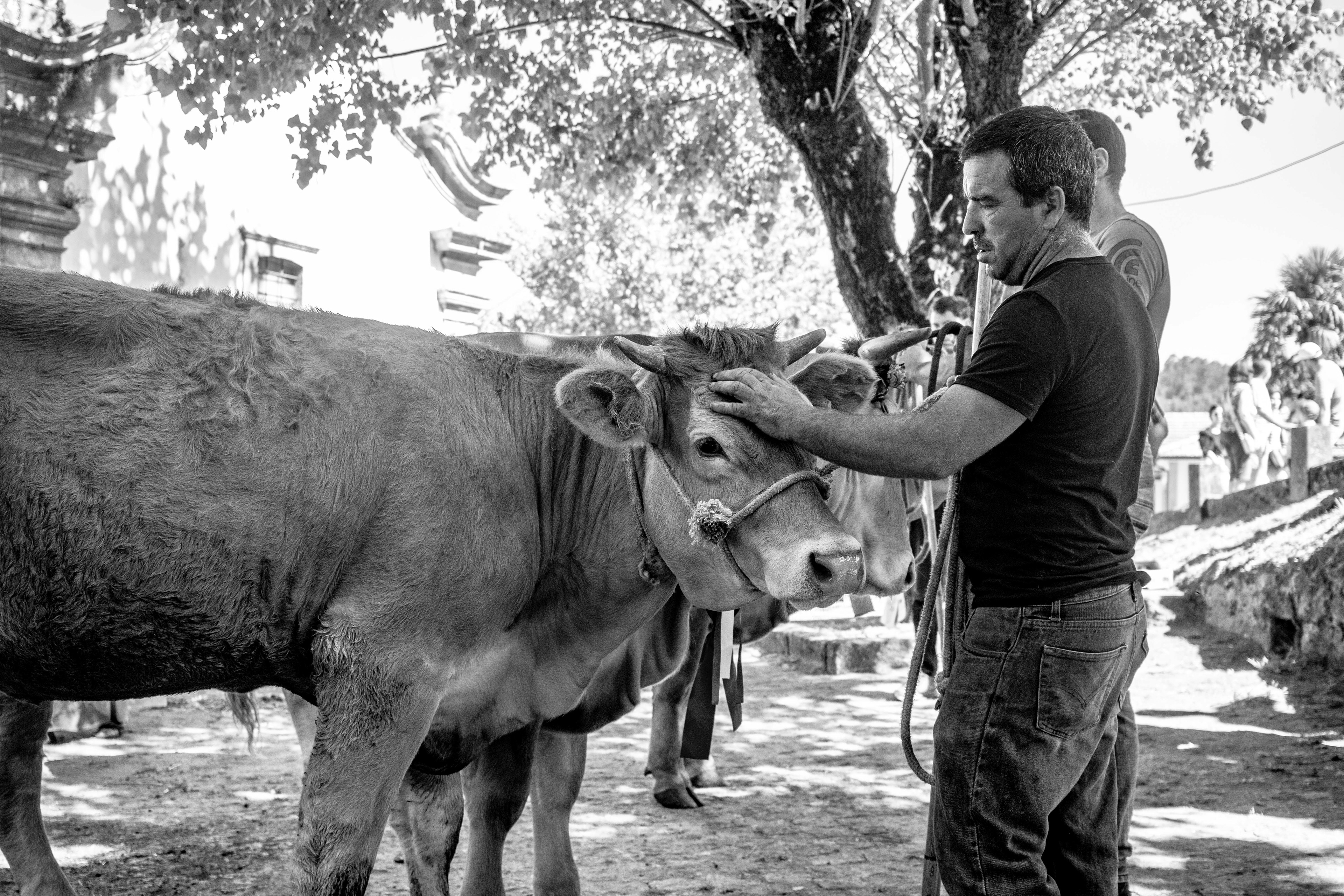 Paredes De Coura, 2025.