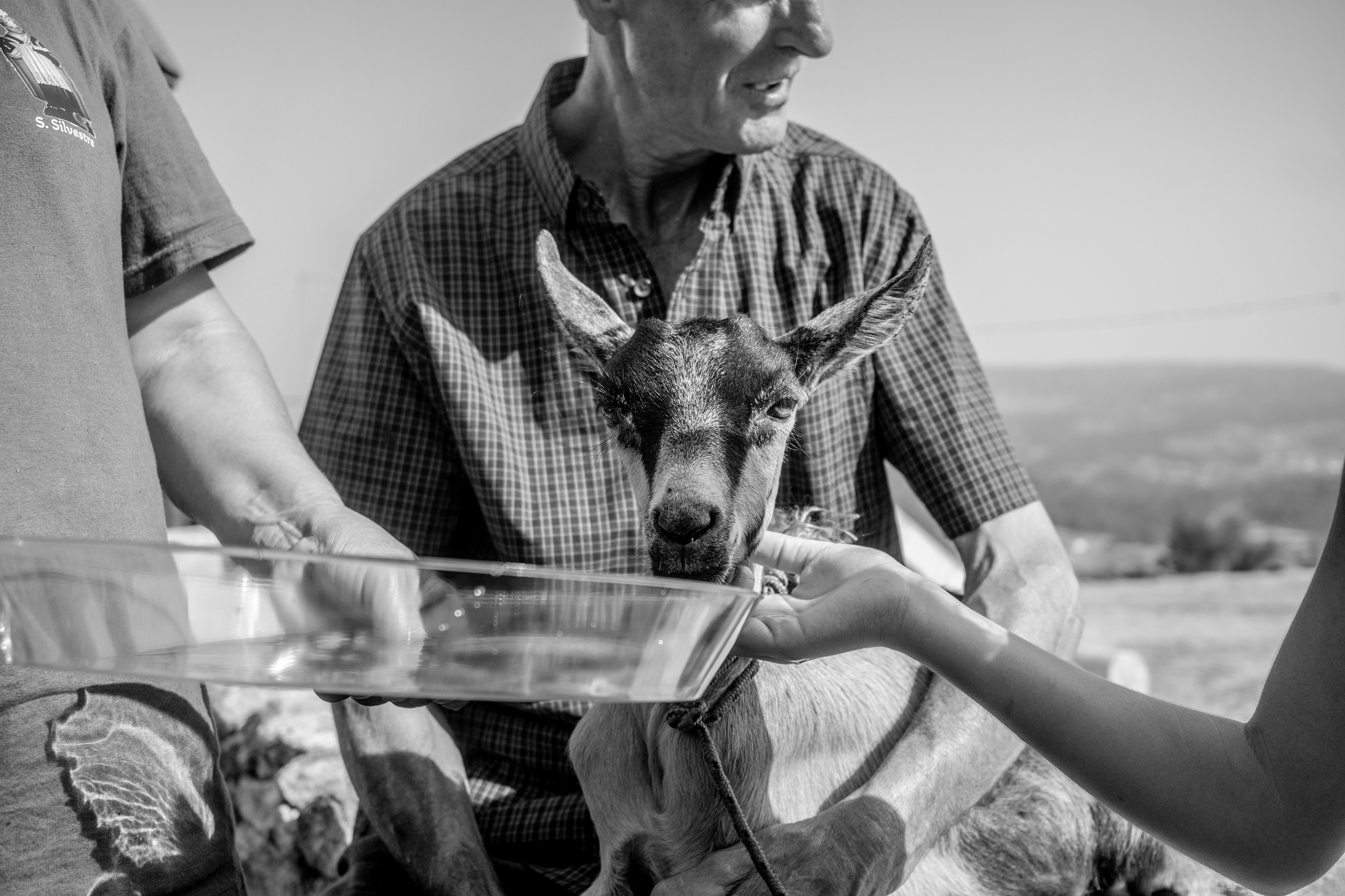 São Silvestre, 2025.