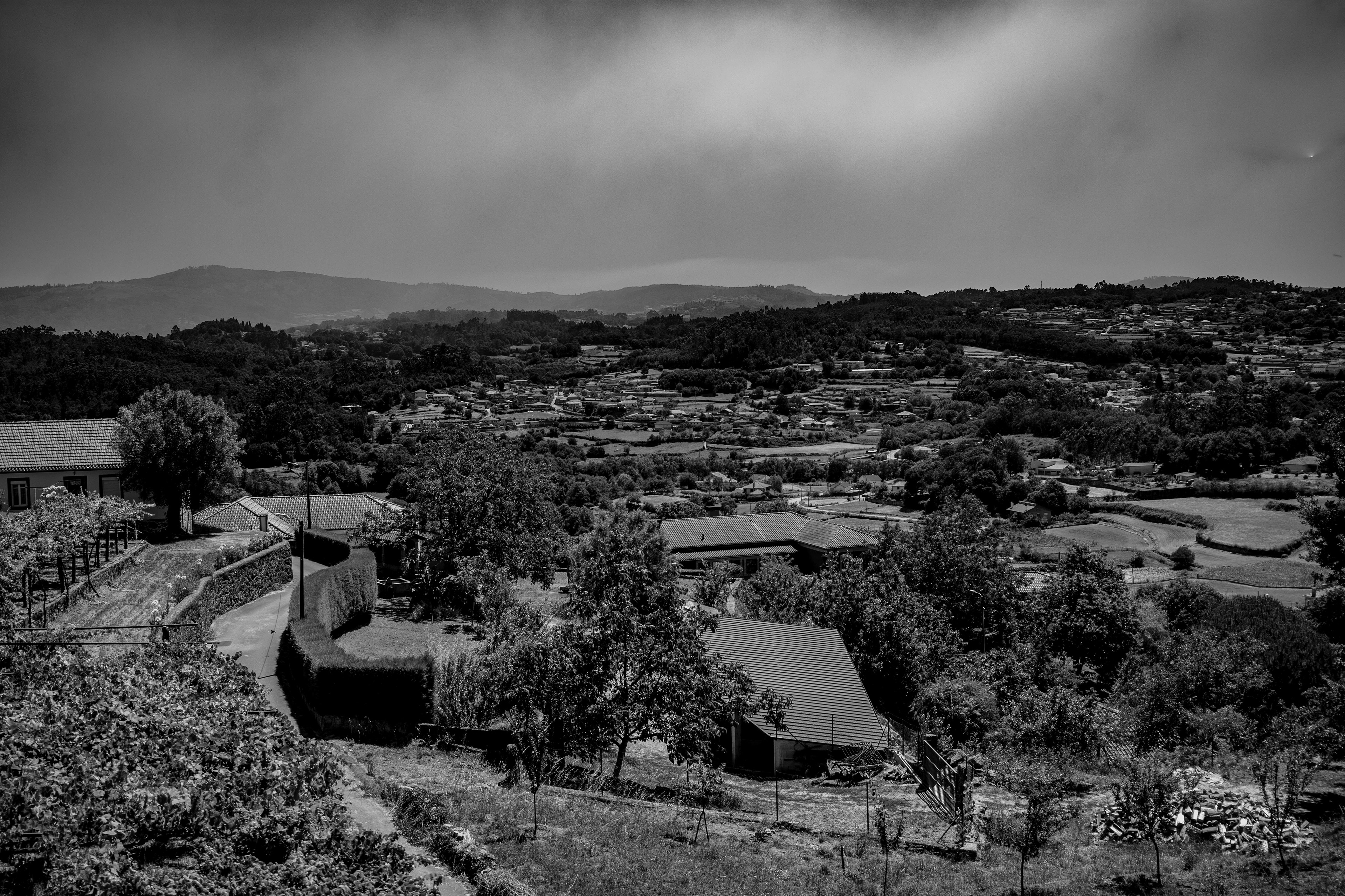 Paredes De Coura, 2025.