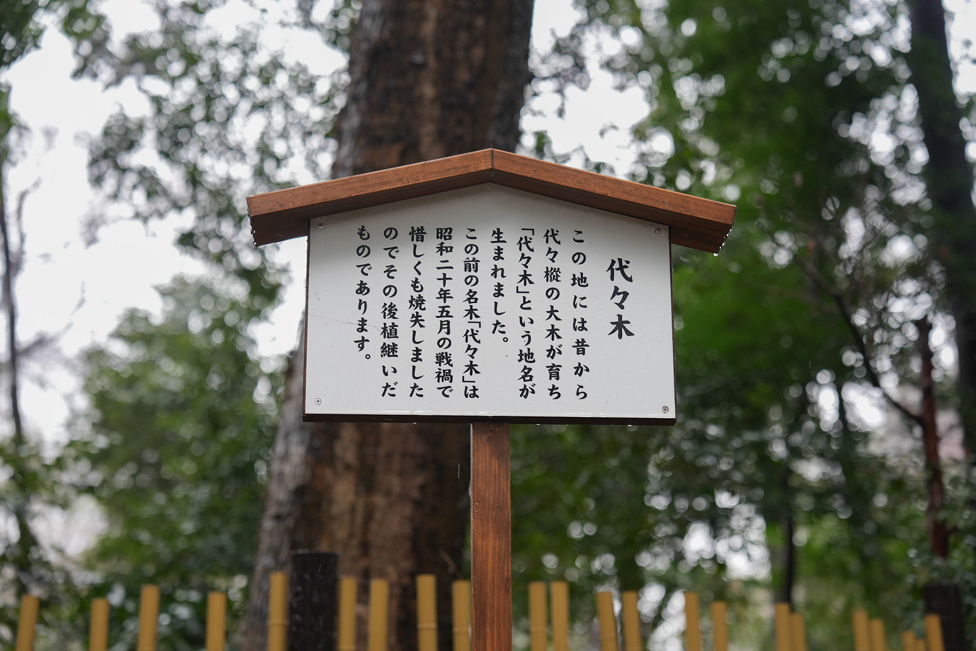 佐々木公園