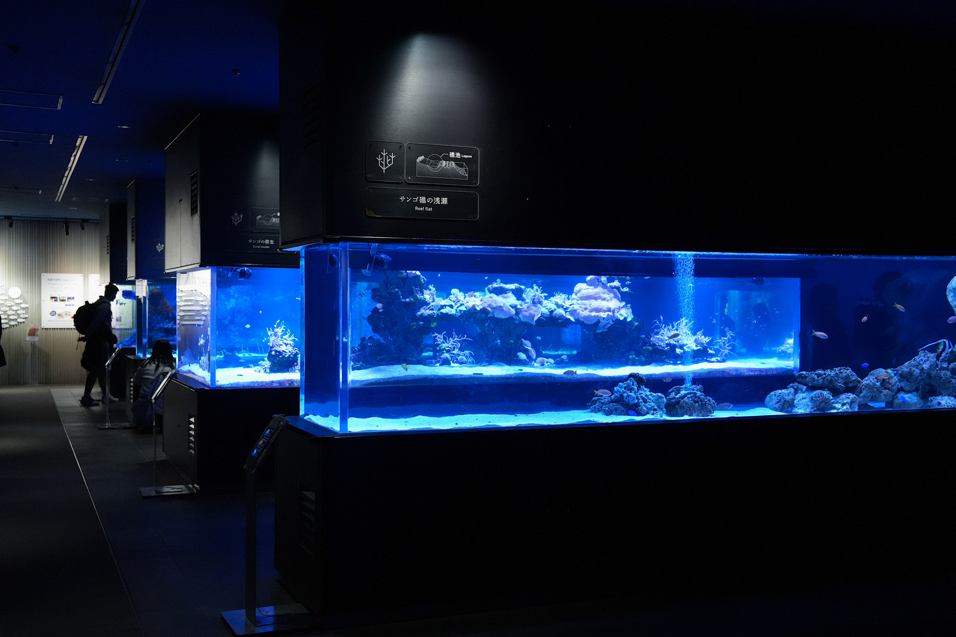 Sumida Aquarium