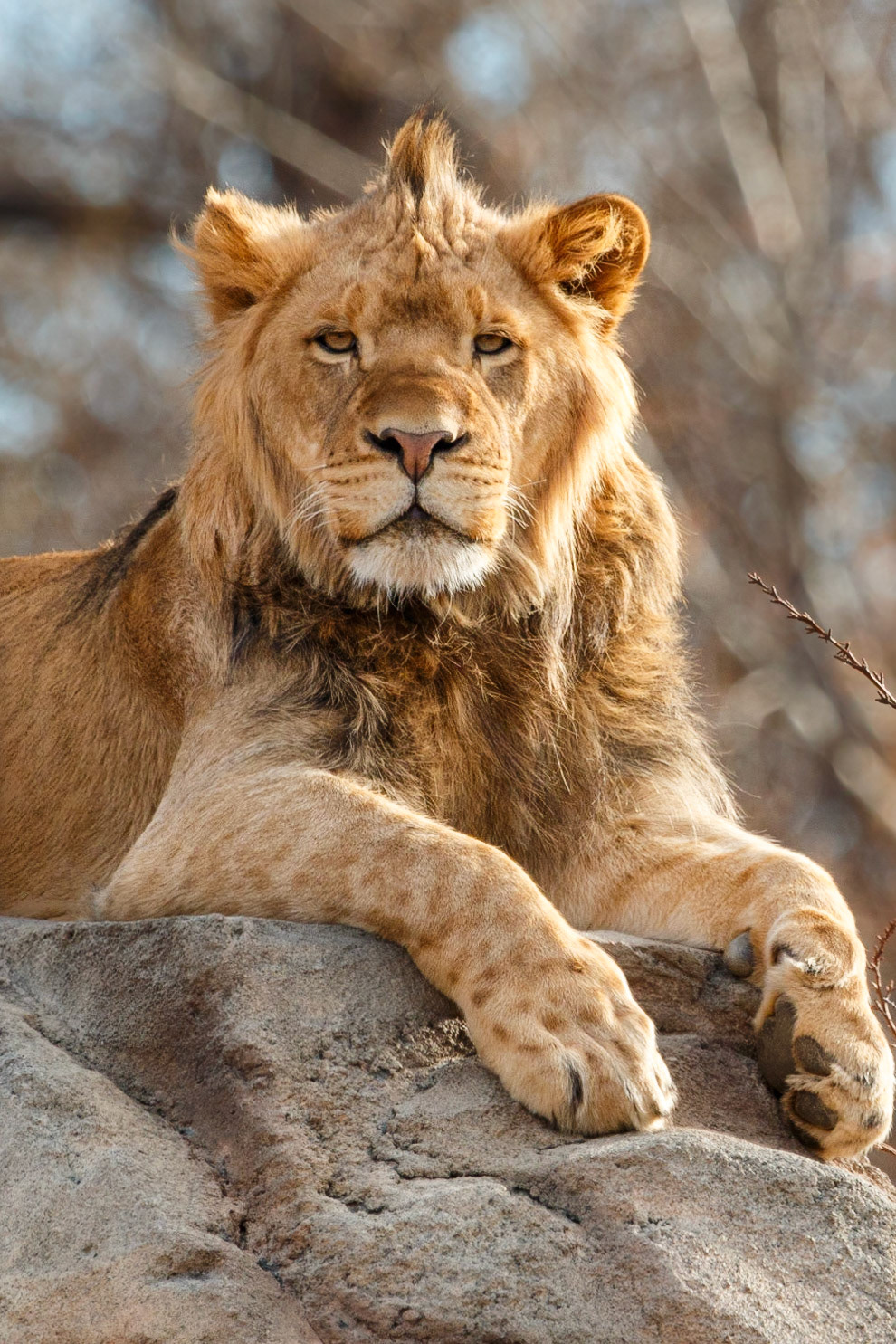 Denver Zoo