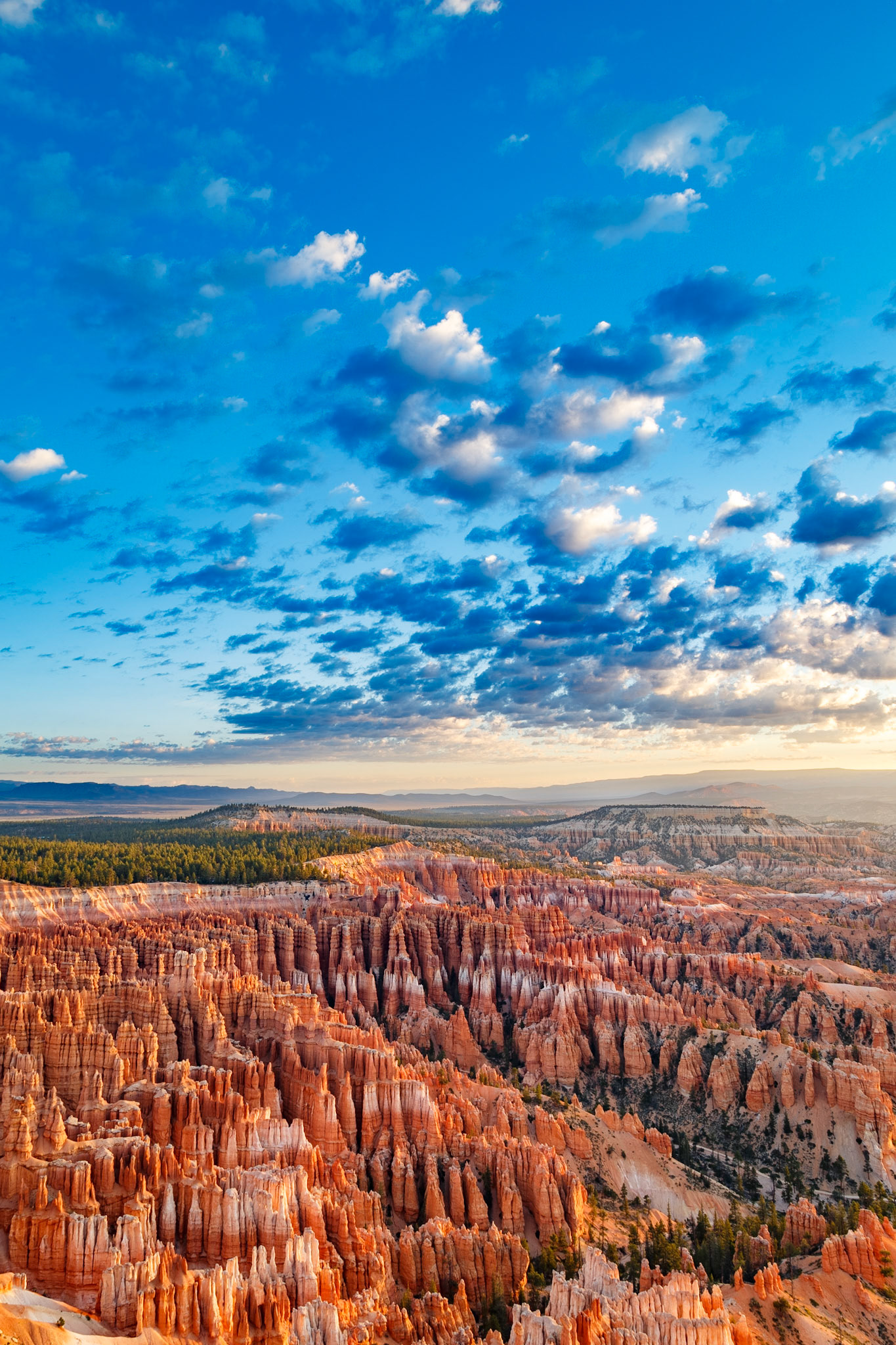 Bryce