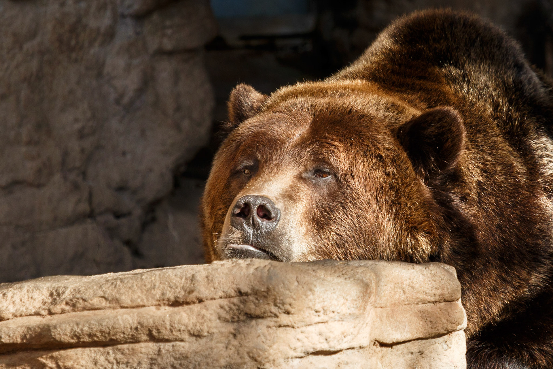 Denver Zoo