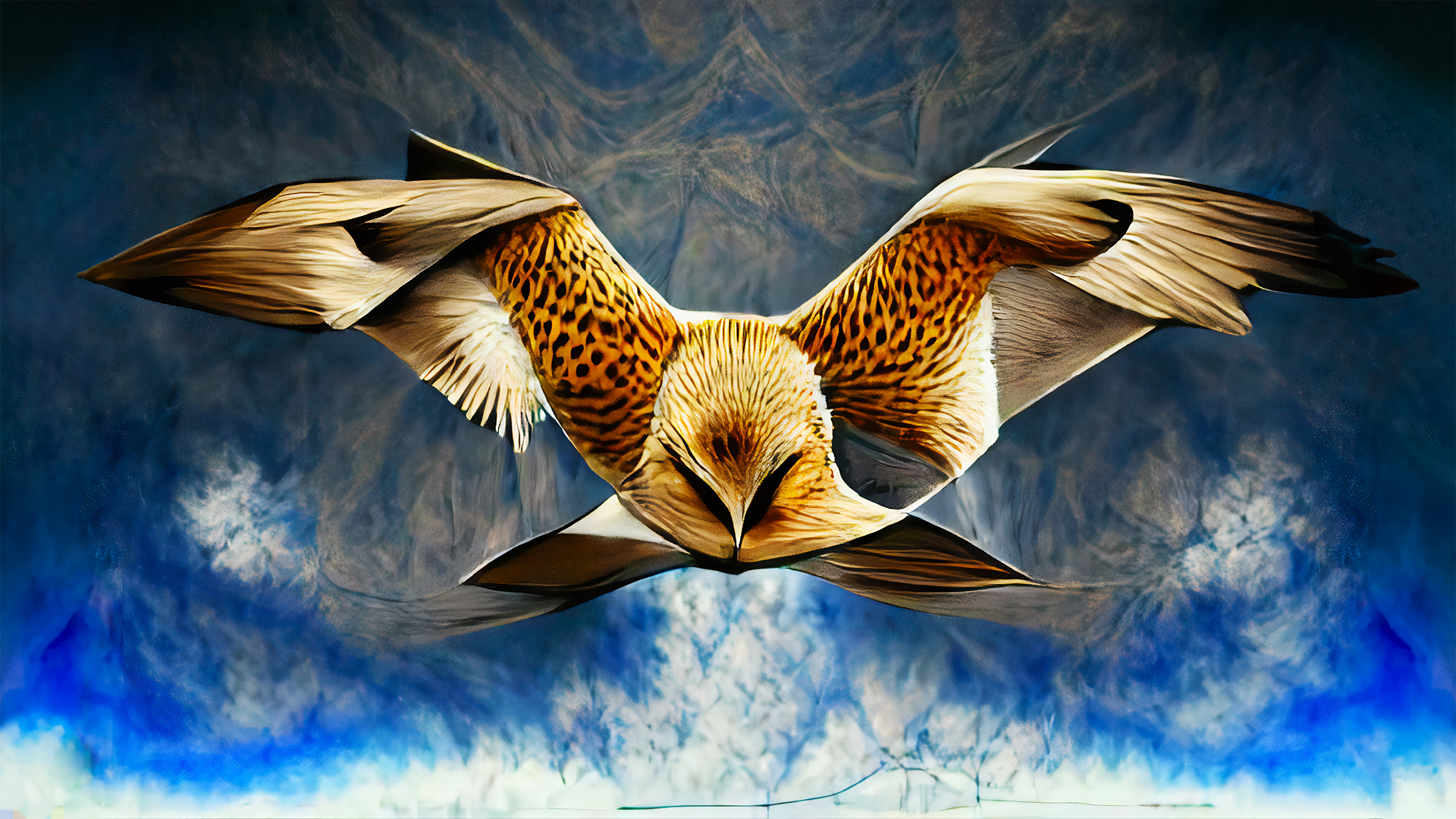 Bird Of Prey