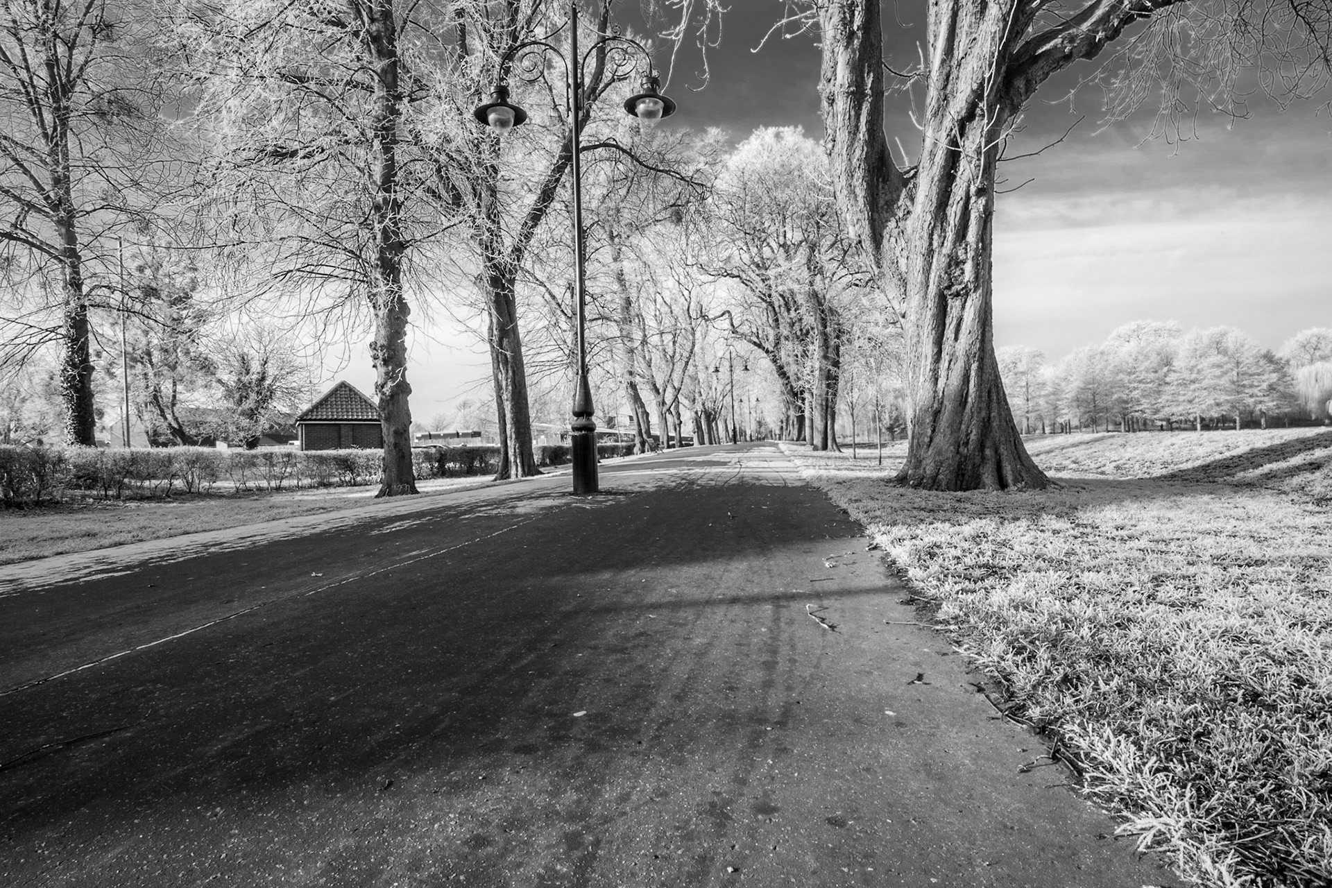 Frosty day early in the morning