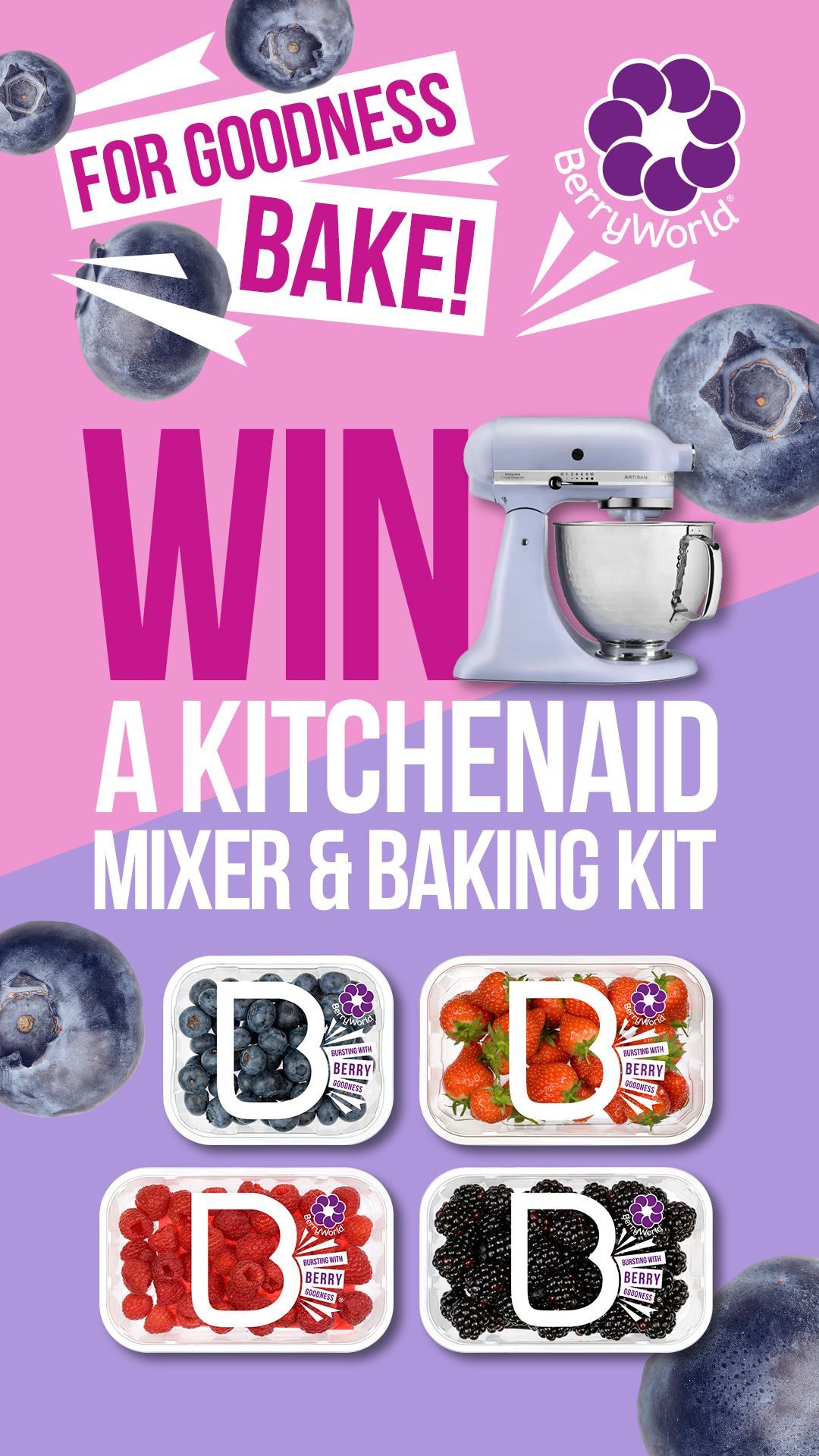 Social Media Stories