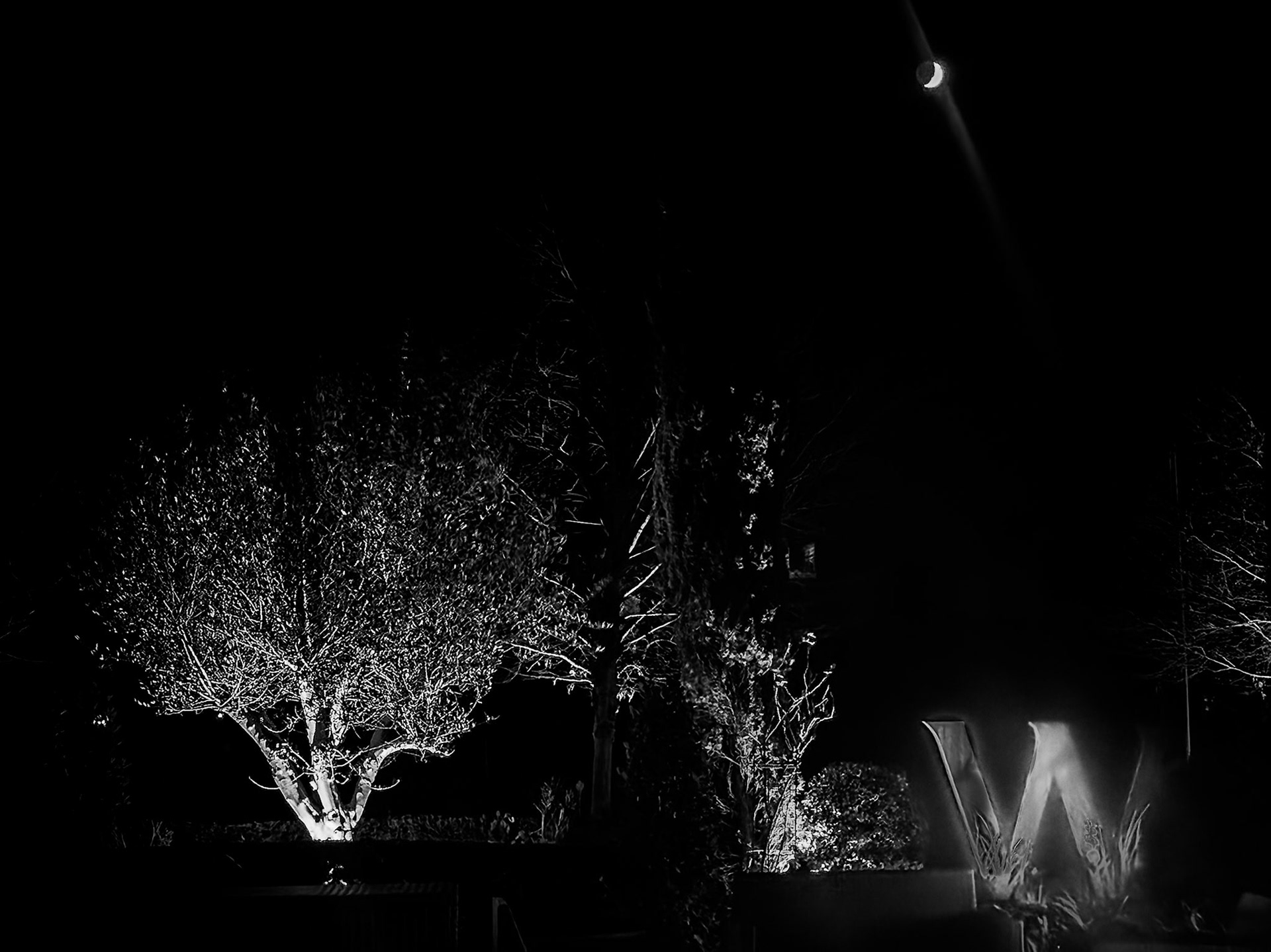 W By Night
