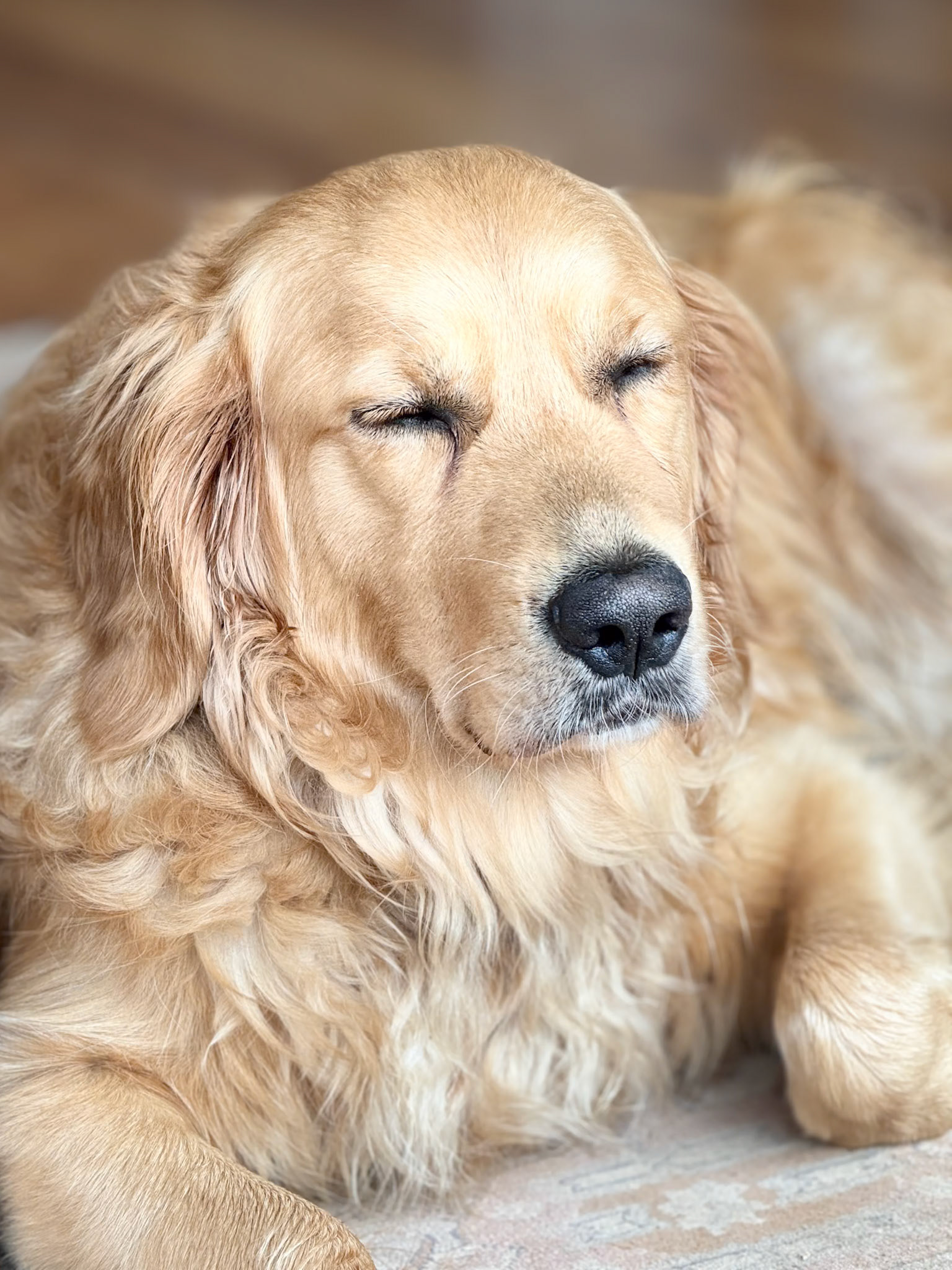 Let Sleeping Dogs ..