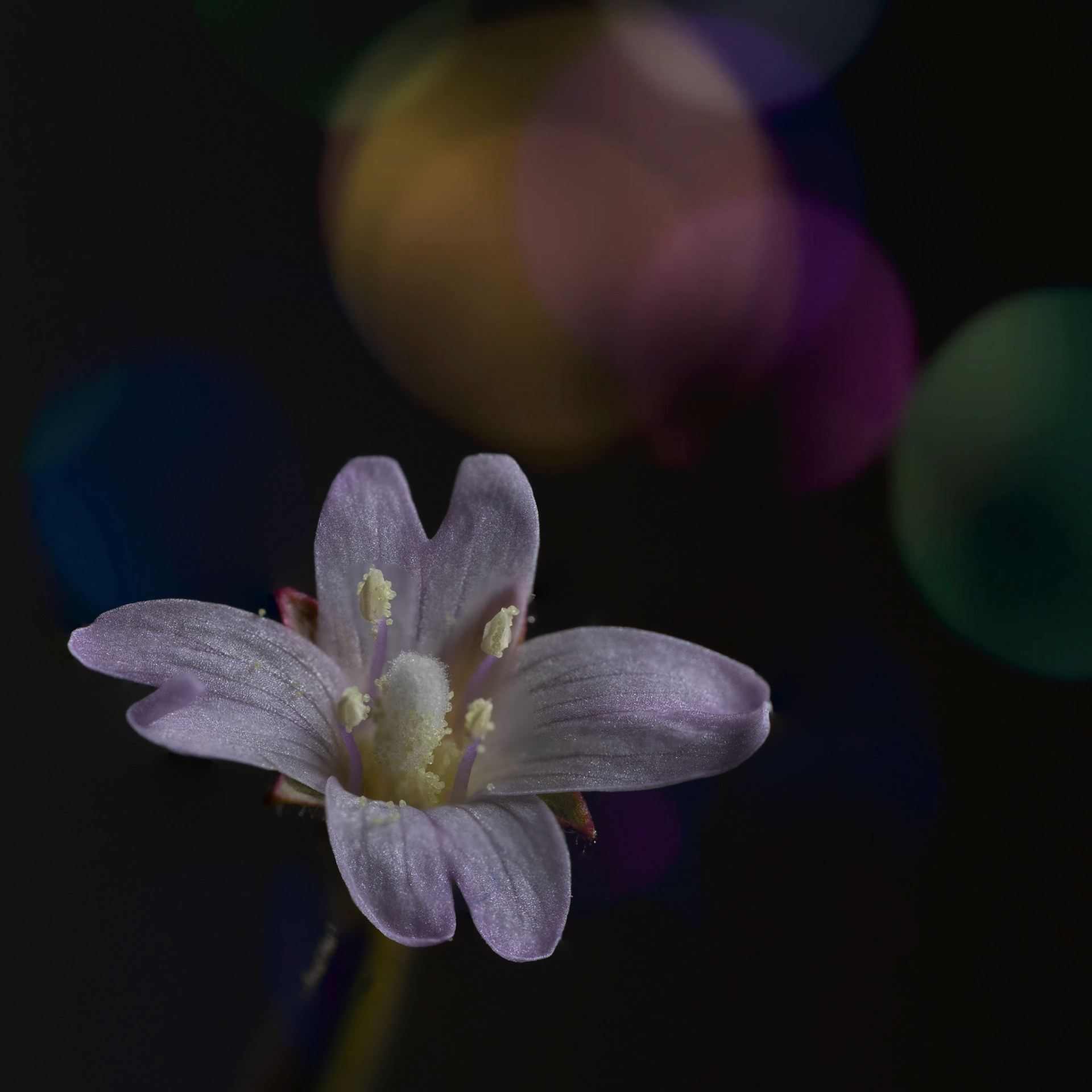 Small things