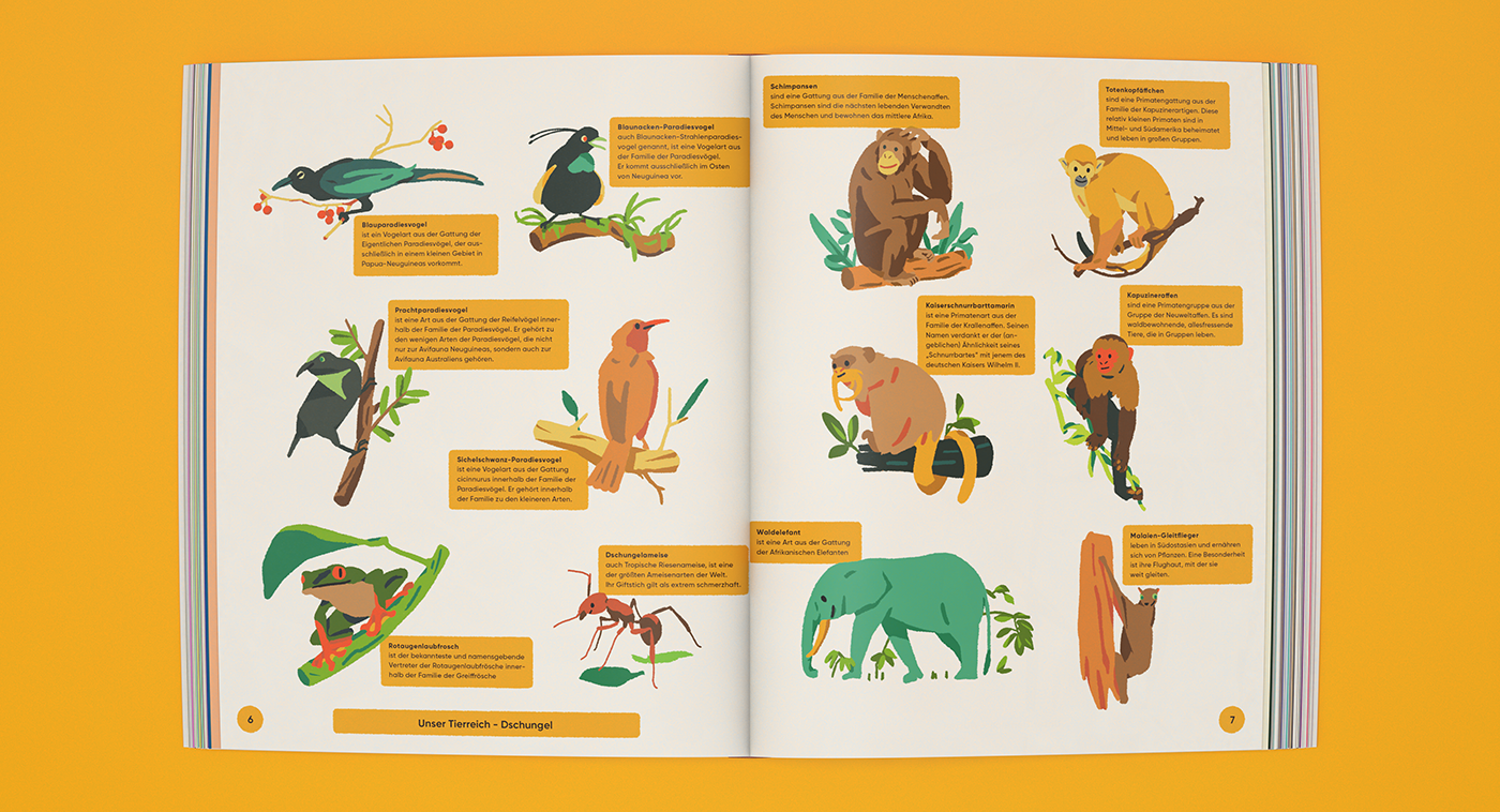 Sua Balac Illustration - Our Animal Kingdom - illustrated book