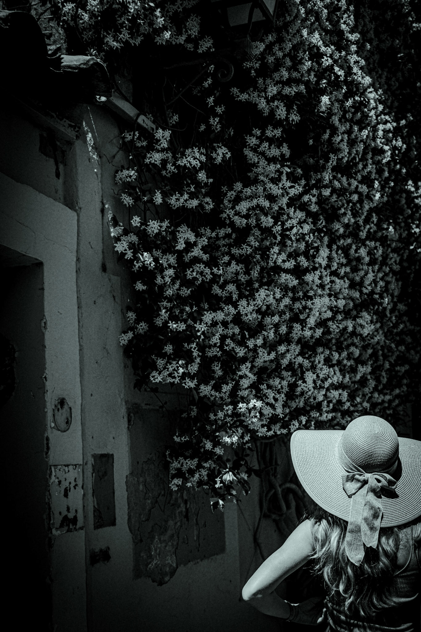 © Gilles Cappadoro