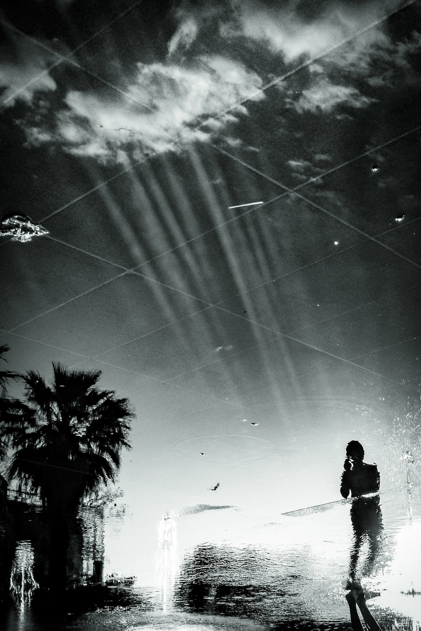 © Gilles Cappadoro