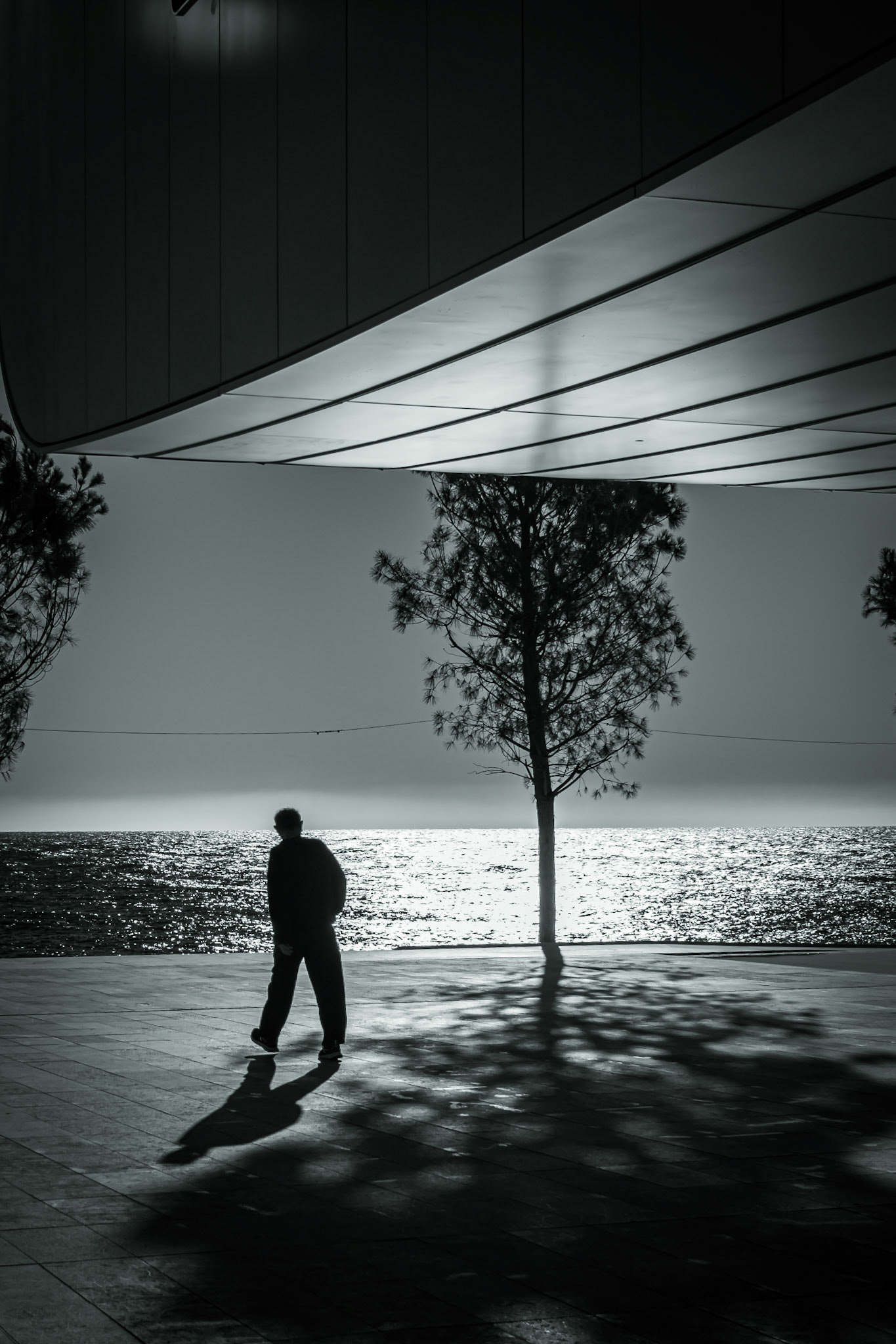 © Gilles Cappadoro