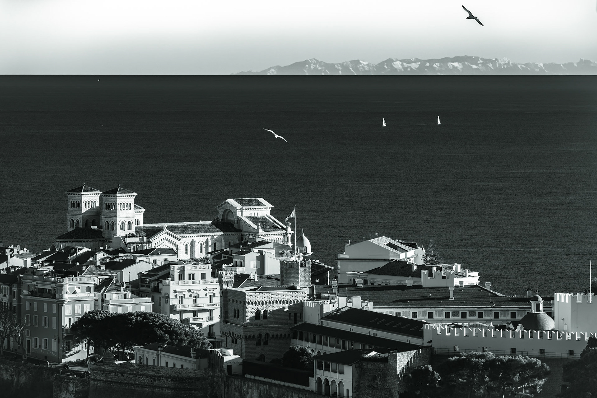 © Gilles Cappadoro