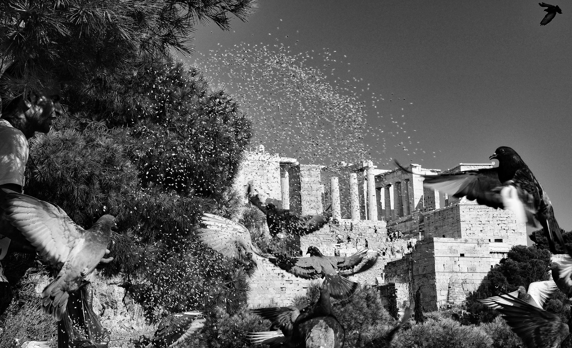 © Gilles Cappadoro
