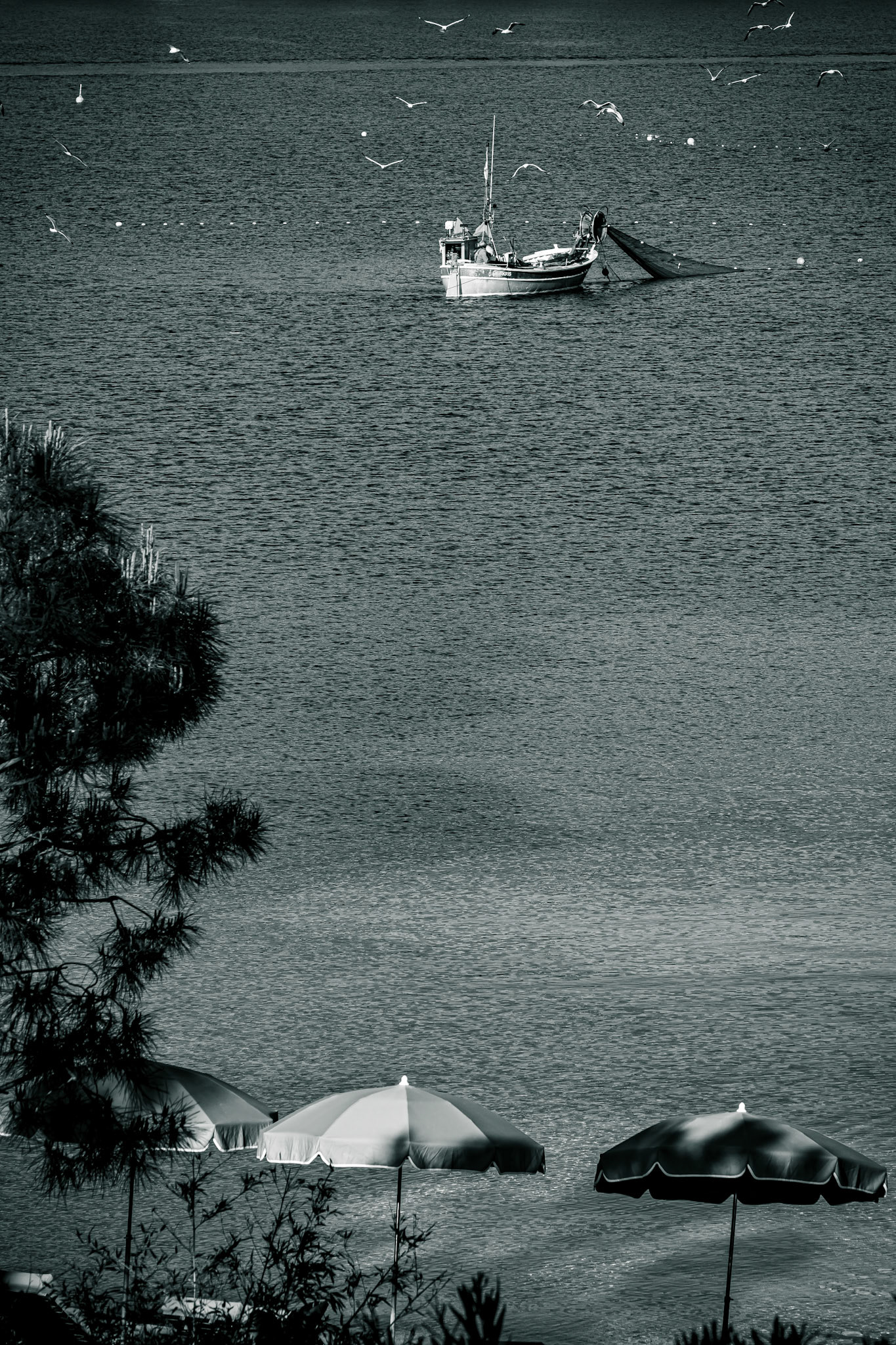 © Gilles Cappadoro
