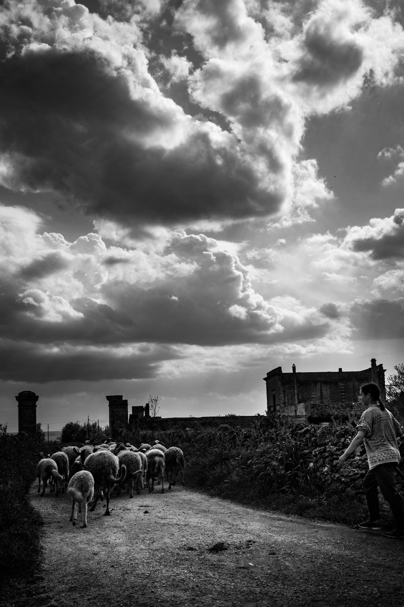 © Gilles Cappadoro