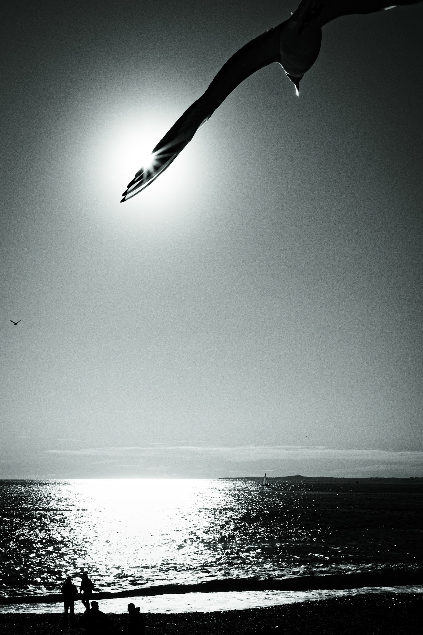 © Gilles Cappadoro