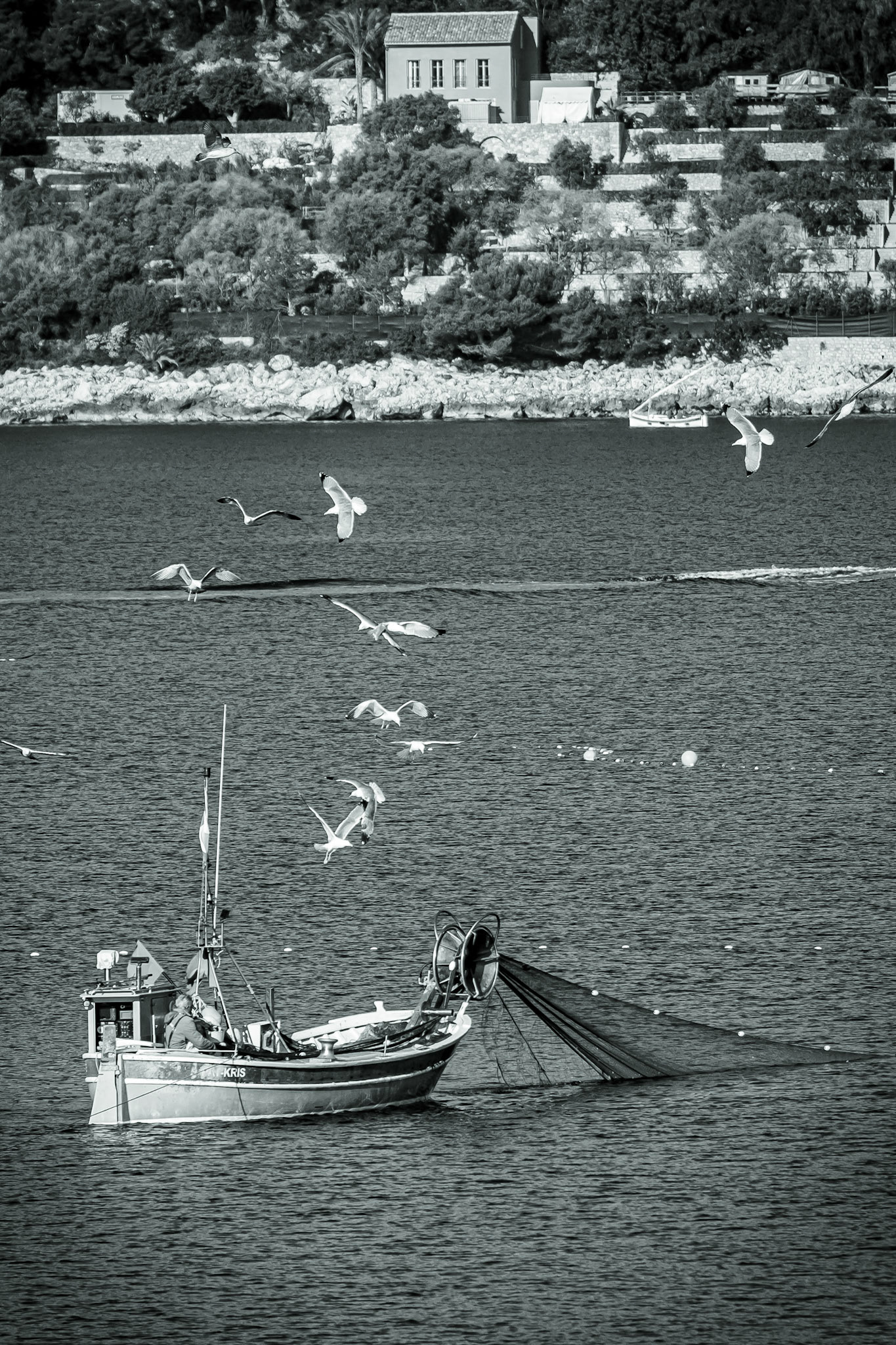 © Gilles Cappadoro
