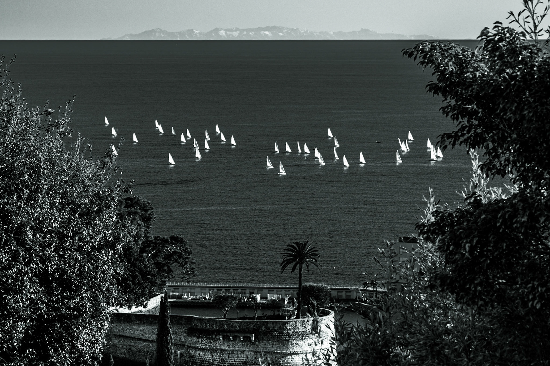 © Gilles Cappadoro