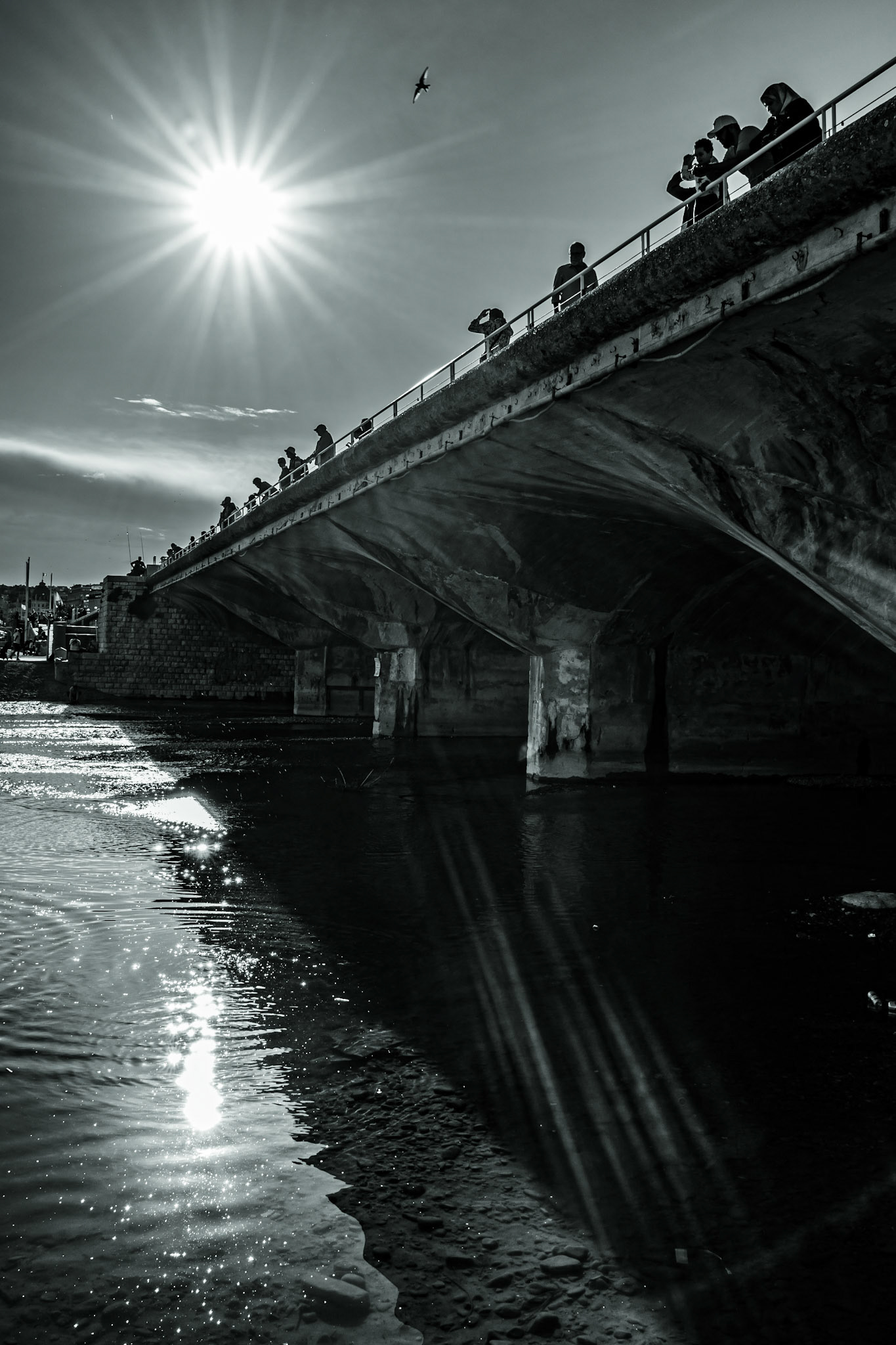 © Gilles Cappadoro