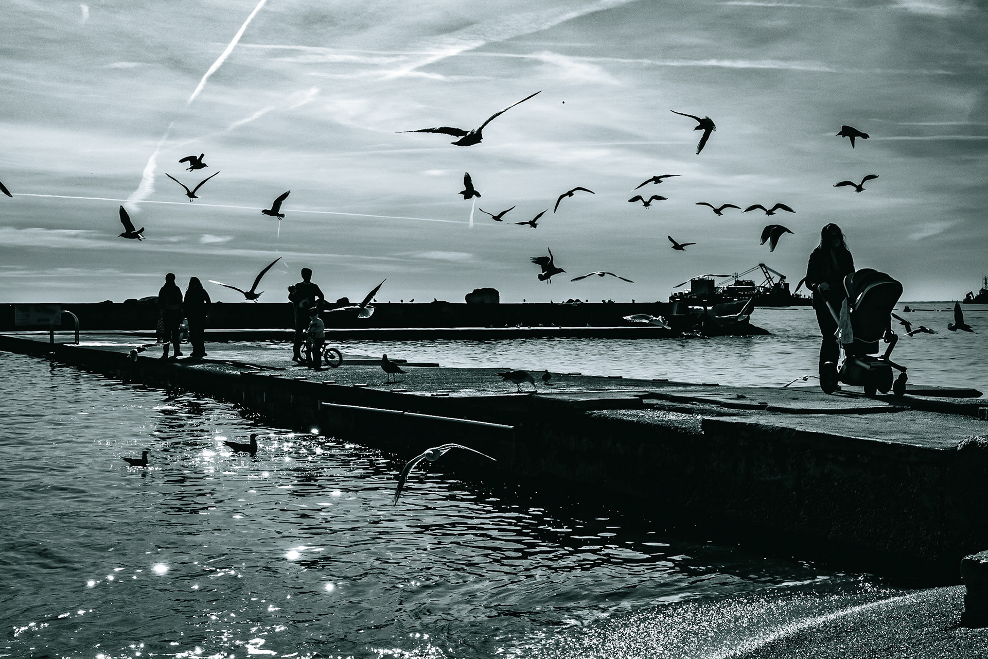 © Gilles Cappadoro