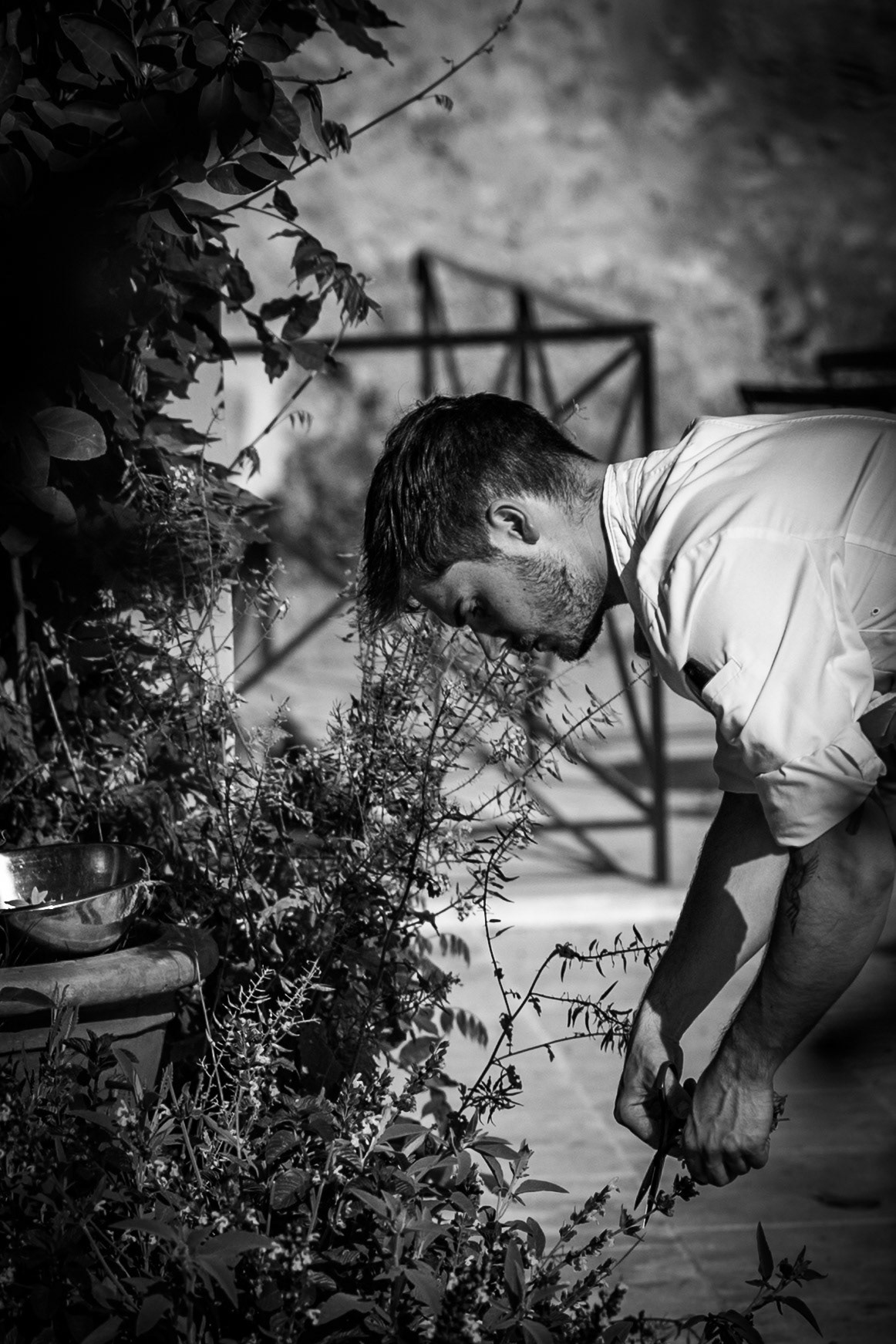 © Gilles Cappadoro