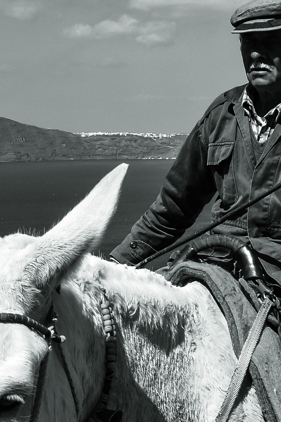 © Gilles Cappadoro