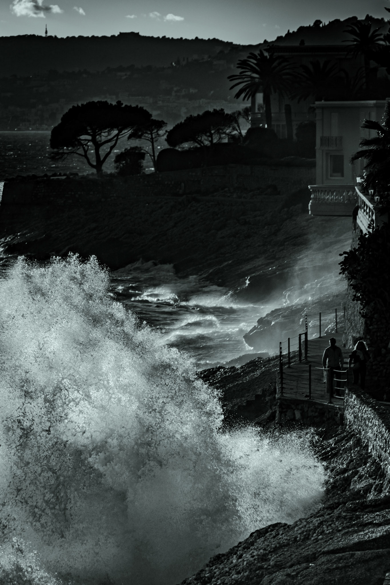 © Gilles Cappadoro