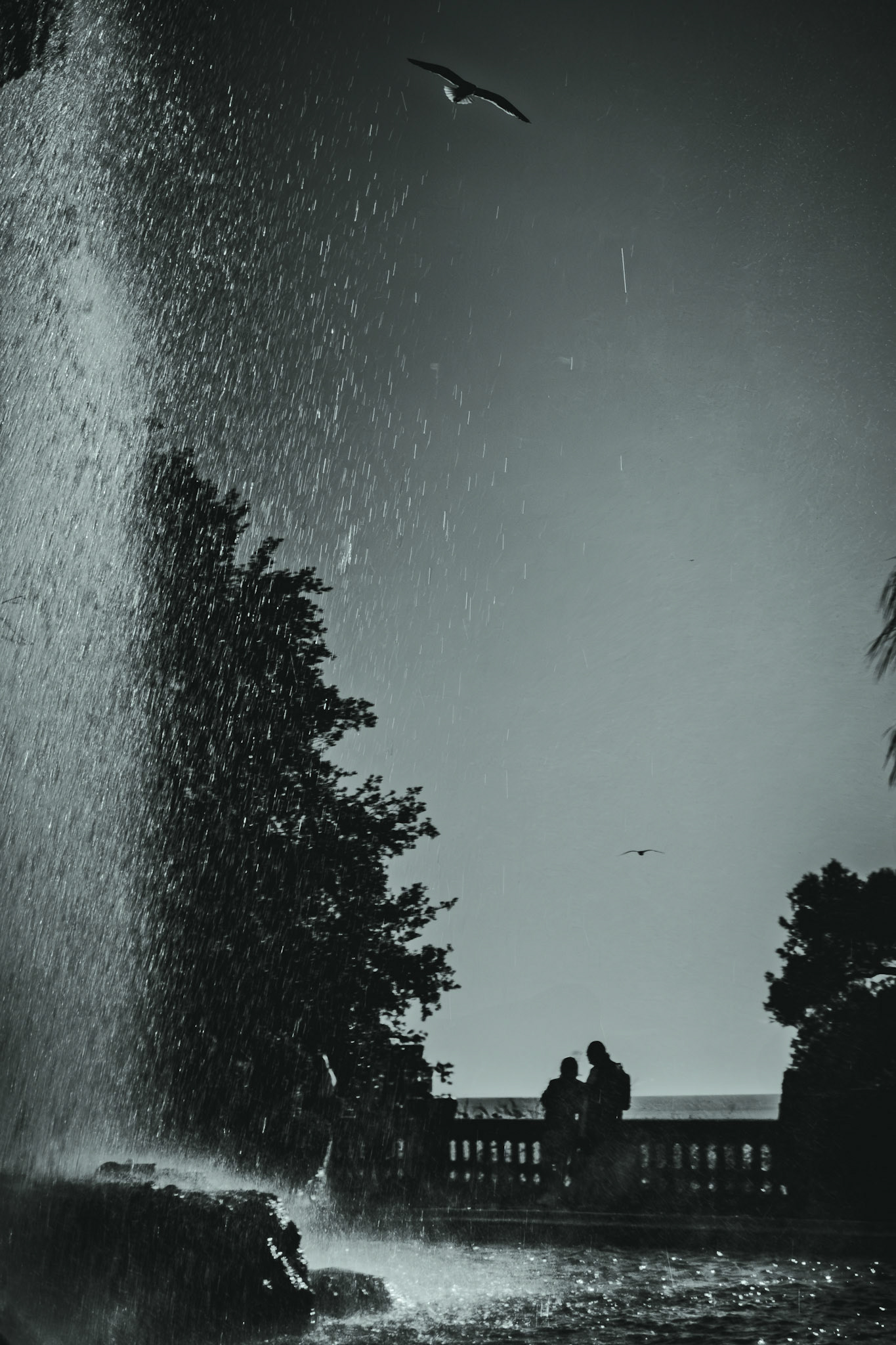 © Gilles Cappadoro
