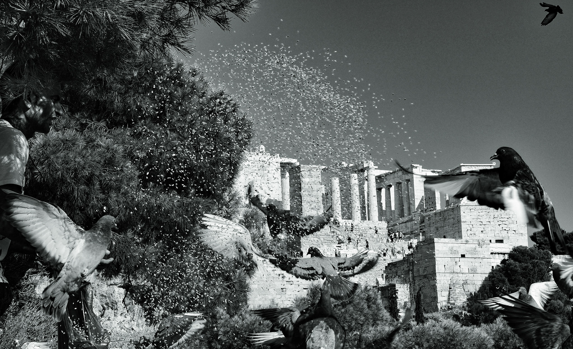 © Gilles Cappadoro