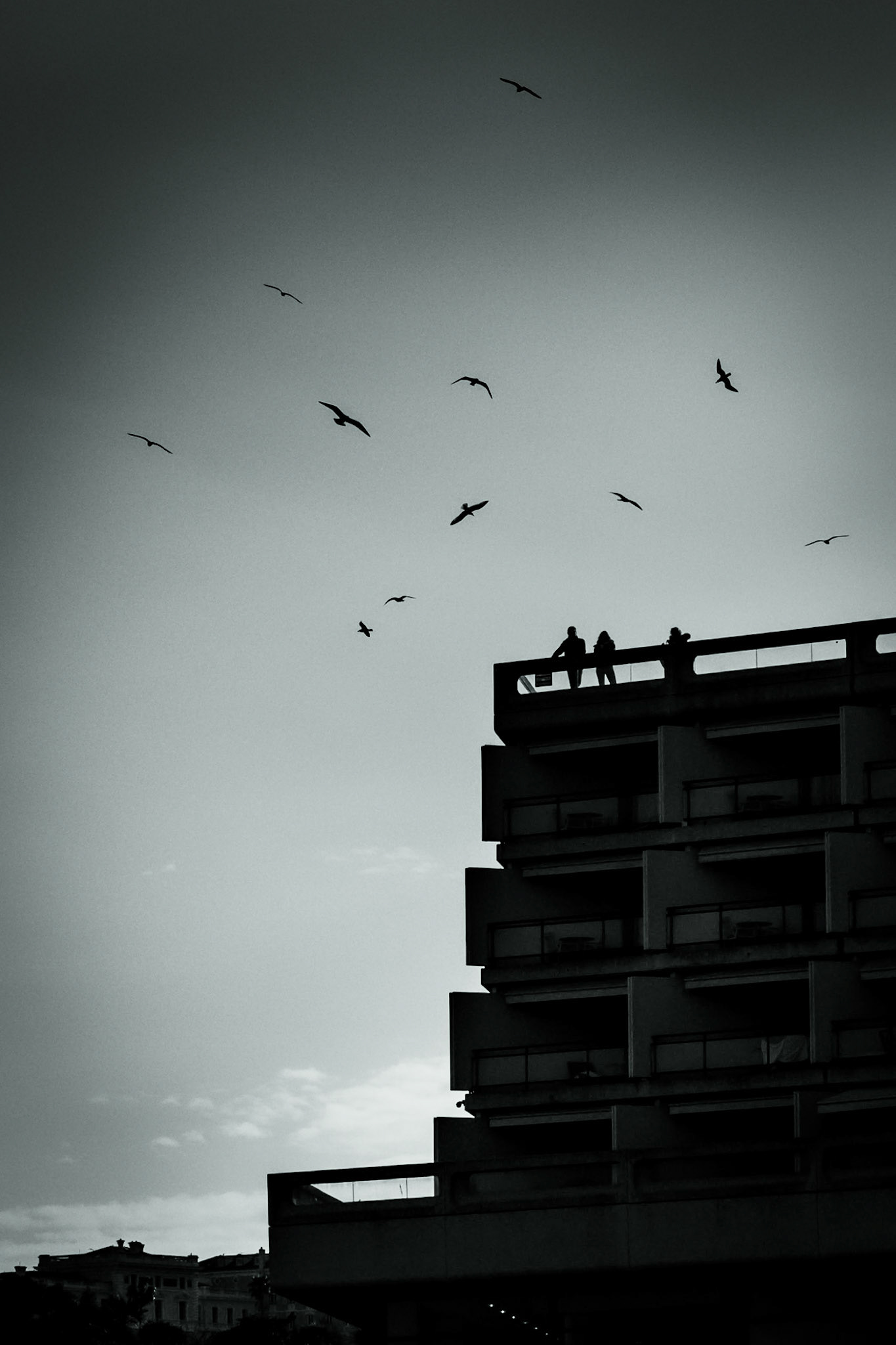 © Gilles Cappadoro