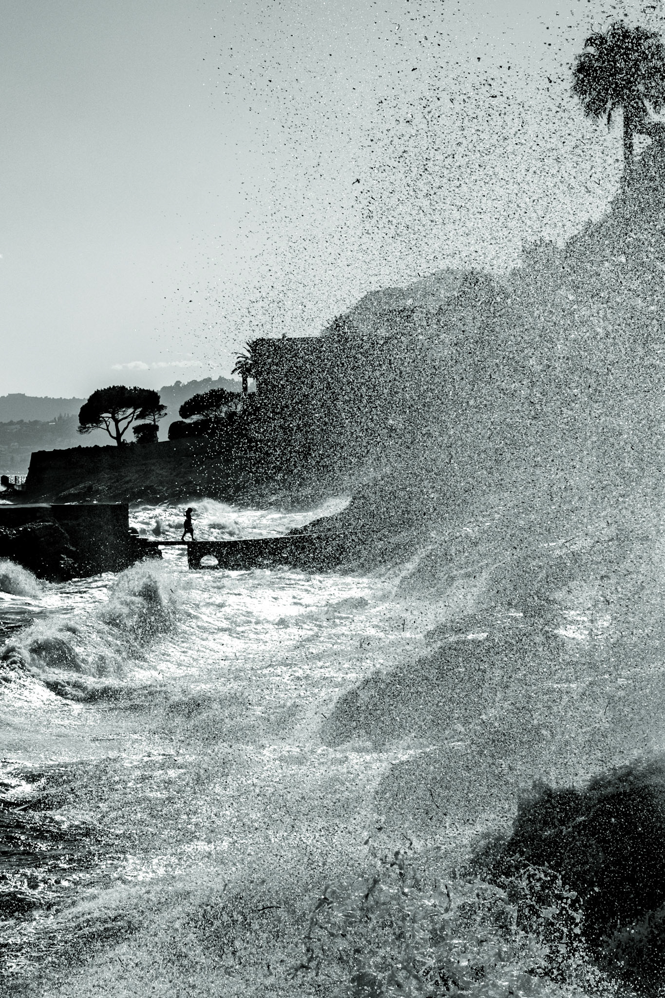 © Gilles Cappadoro