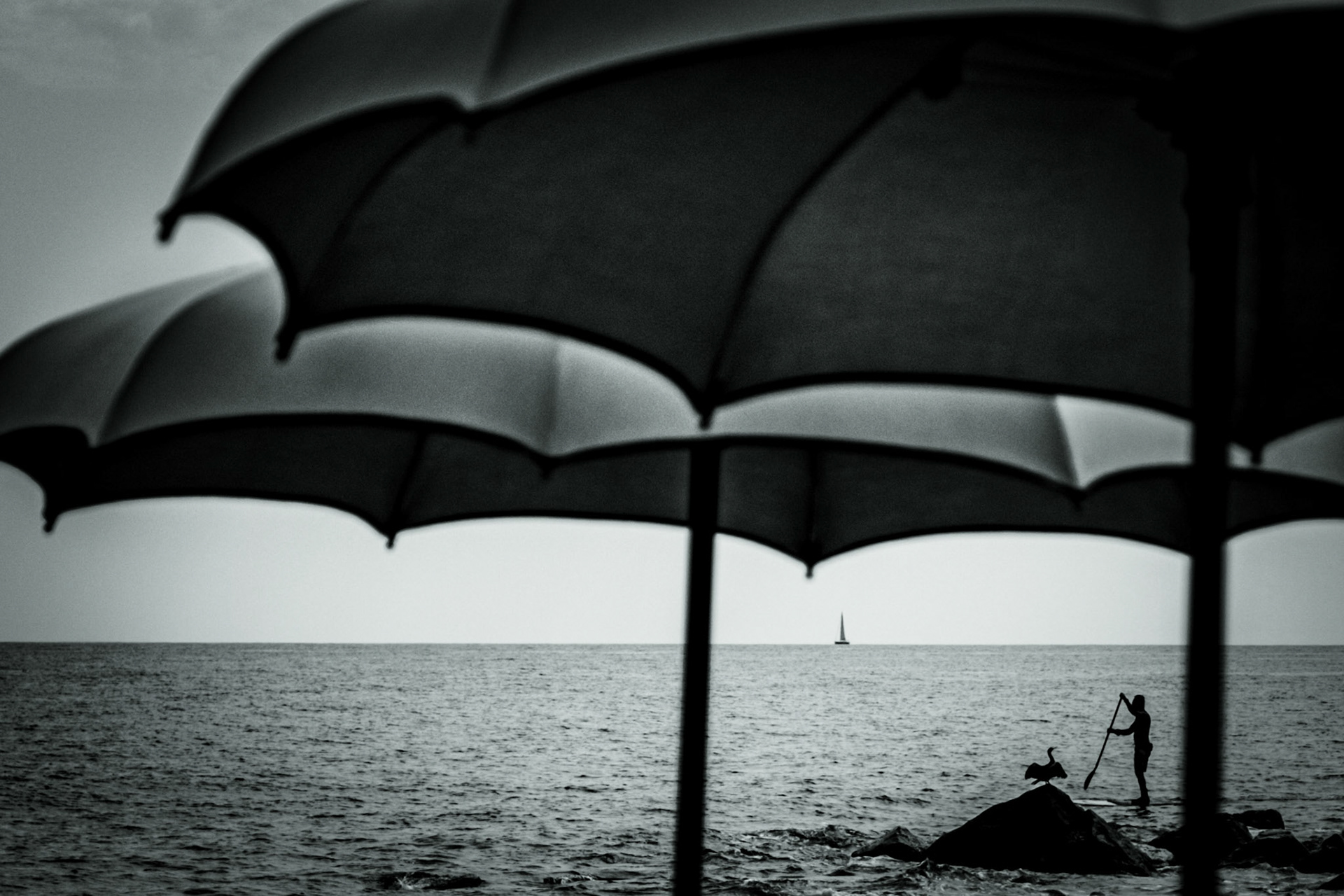 © Gilles Cappadoro