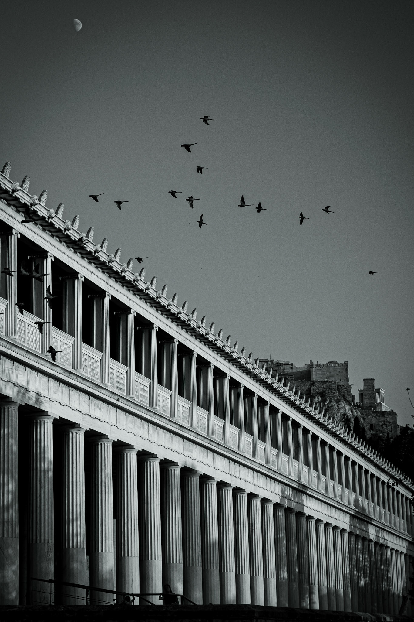 © Gilles Cappadoro
