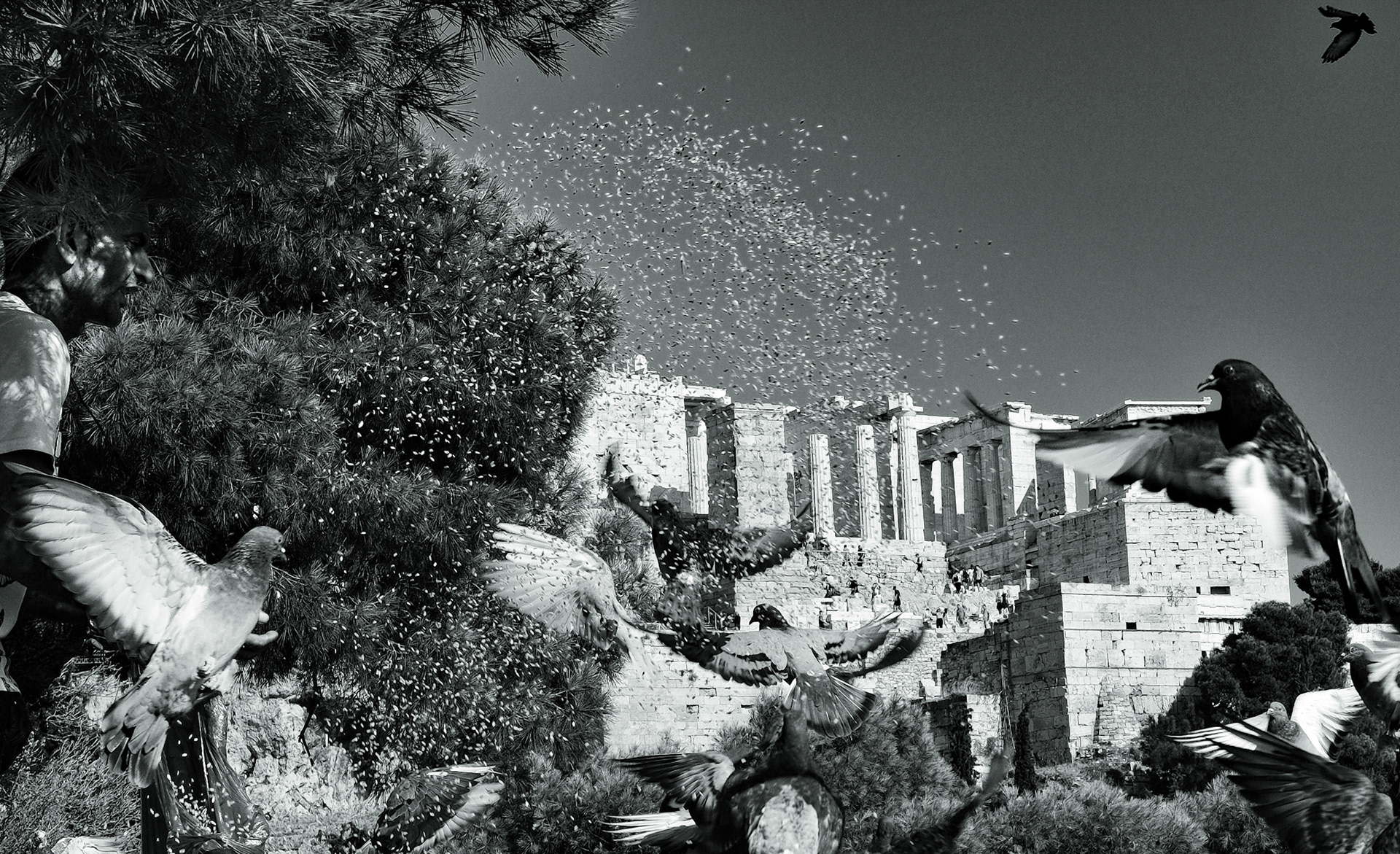 © Gilles Cappadoro