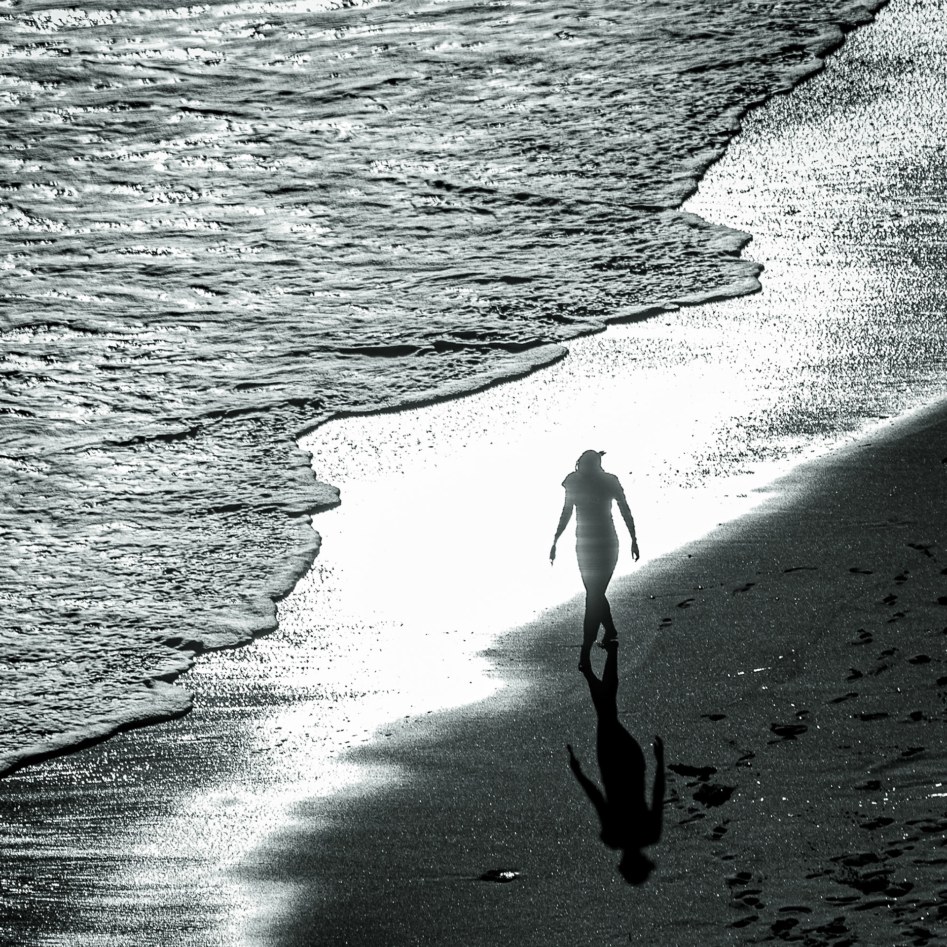 Metamorphosis - 39x39 - 180 €