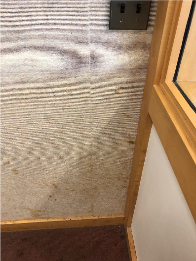 Stained room walls