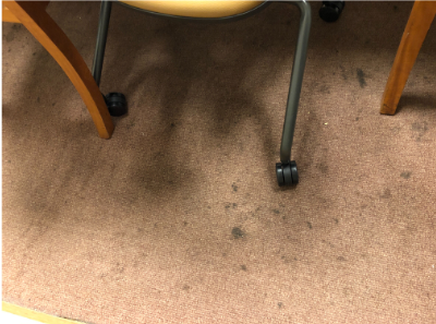 Carpet needed cleaning