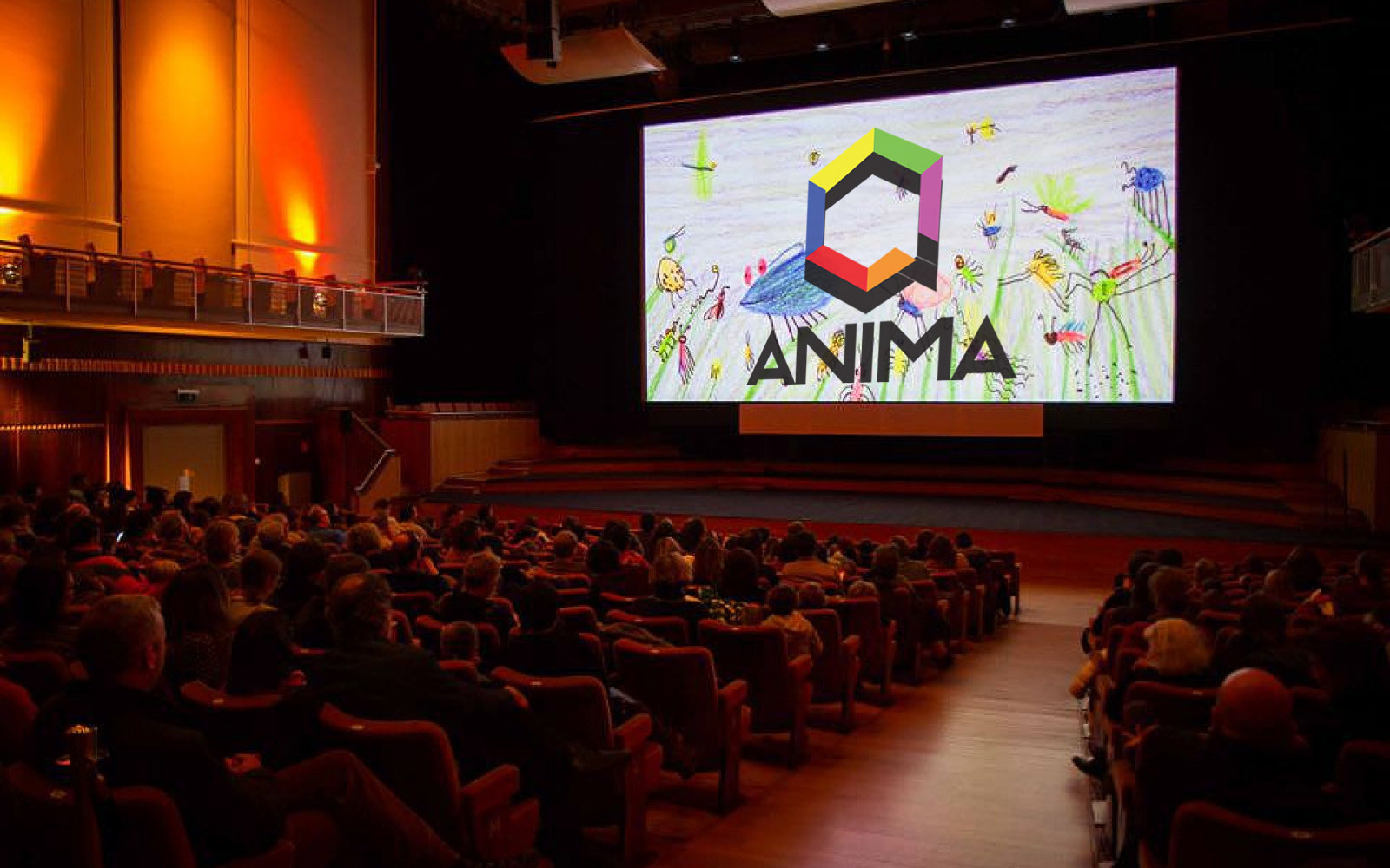 Big Screen Projection
