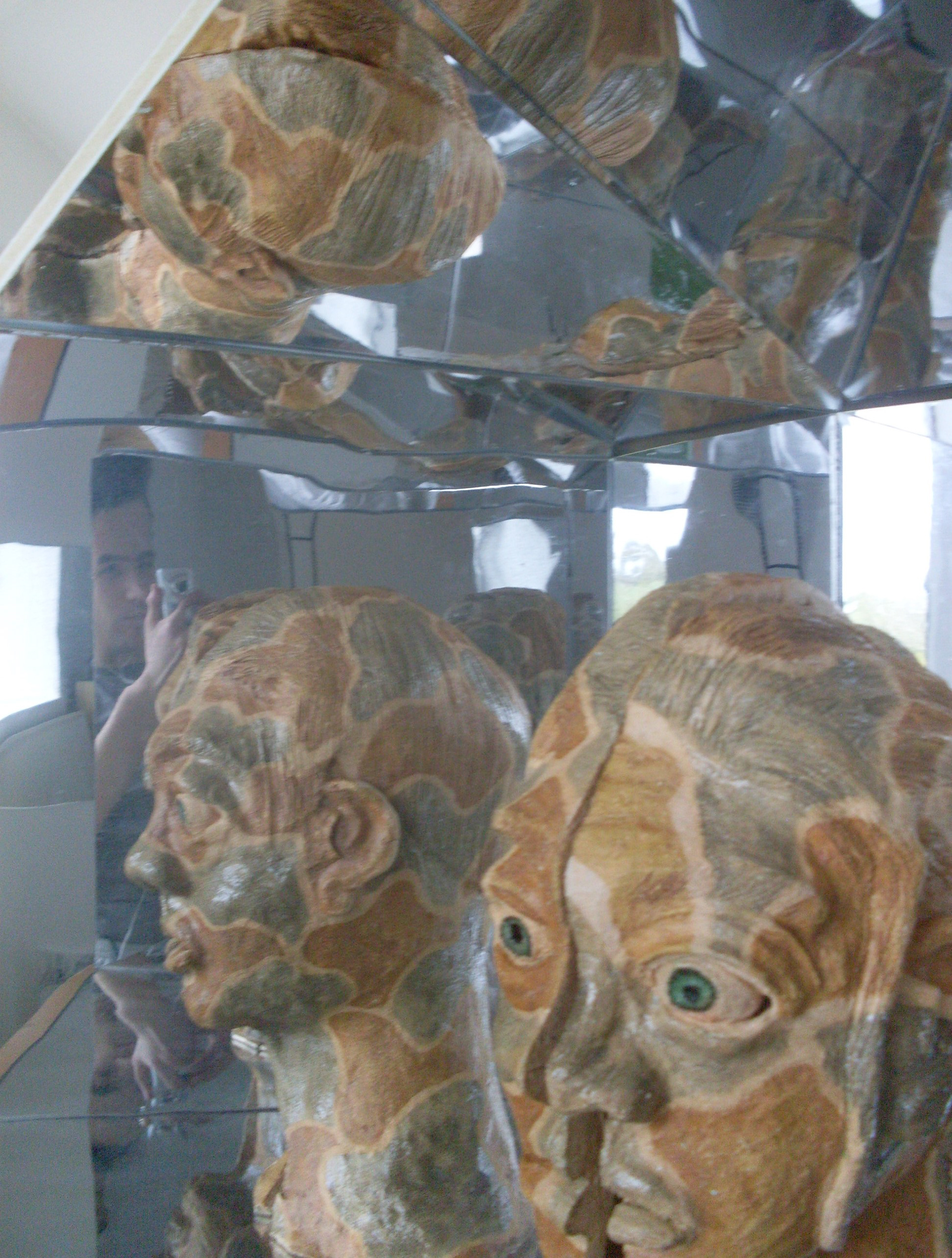 Mirror Box