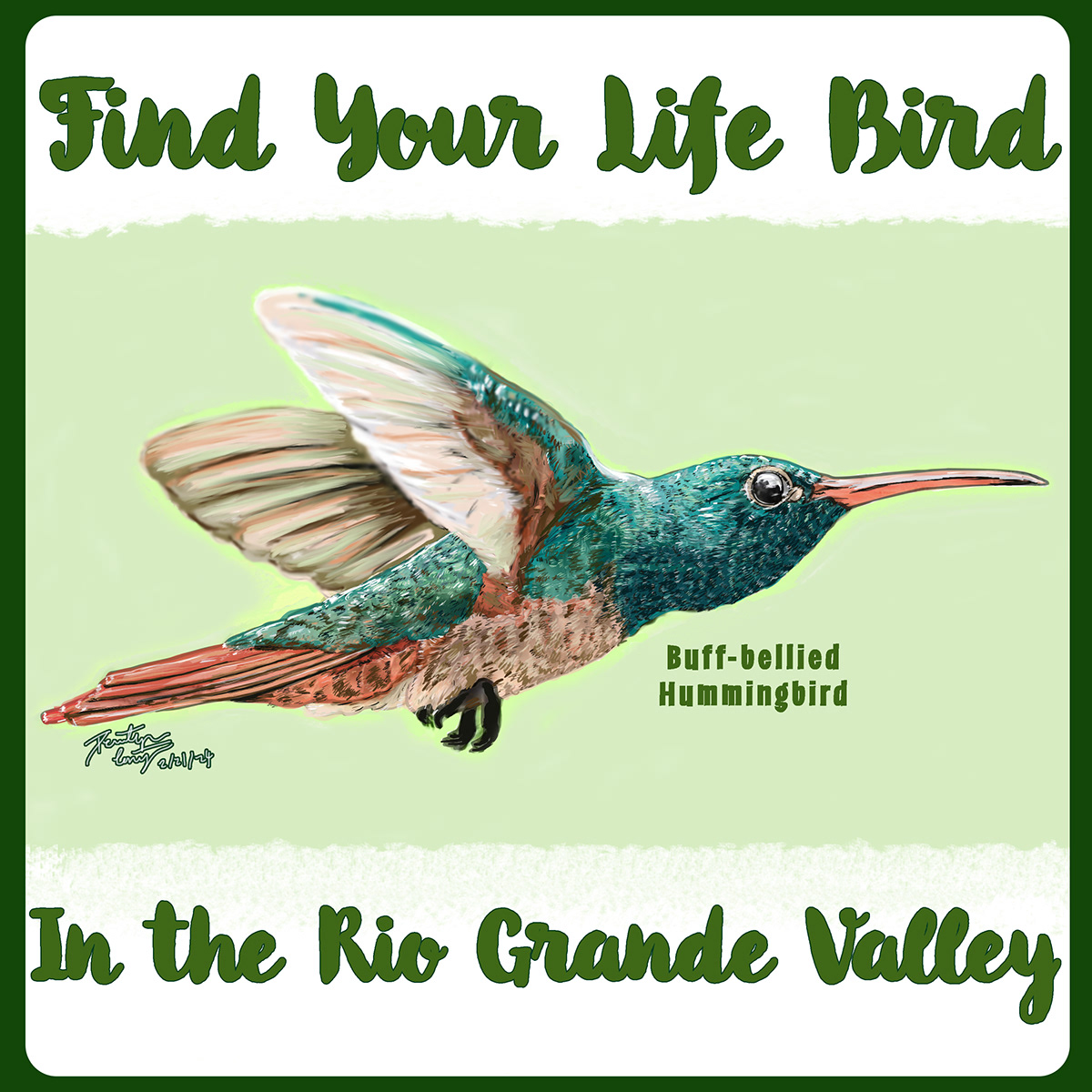 Rio Grande Valley Birding Festival