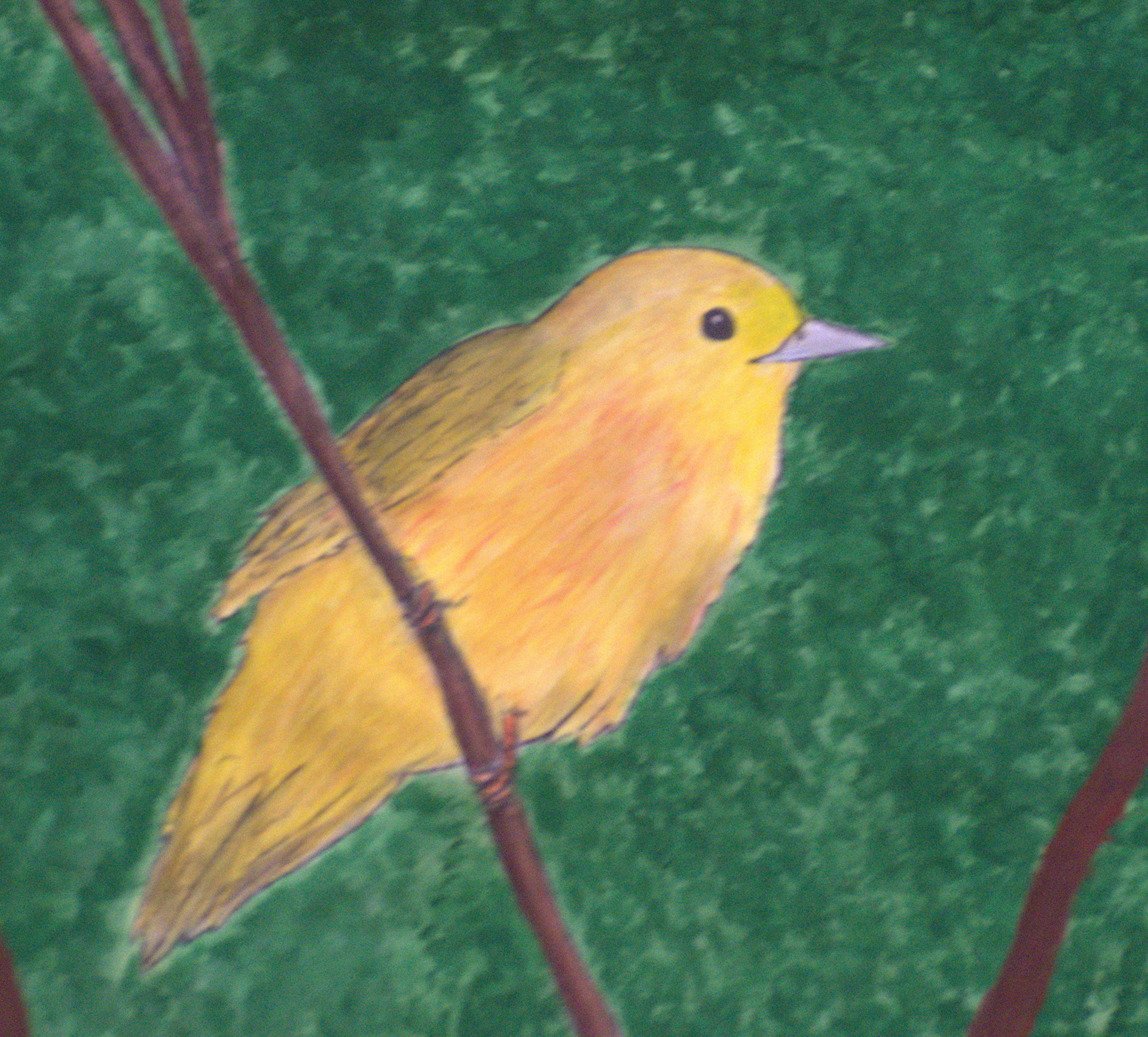 HONORABLE MENTION 6th Grade Adelyn Toller "Yellow Warbler" Teacher: Isela Carrasco Moises Vela Middle School Harlingen CISD