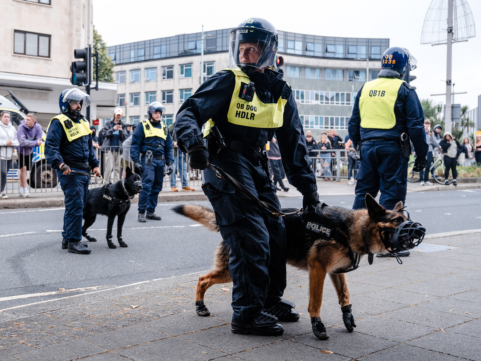 Police officers with police dogs take to the street to calm the protesters.