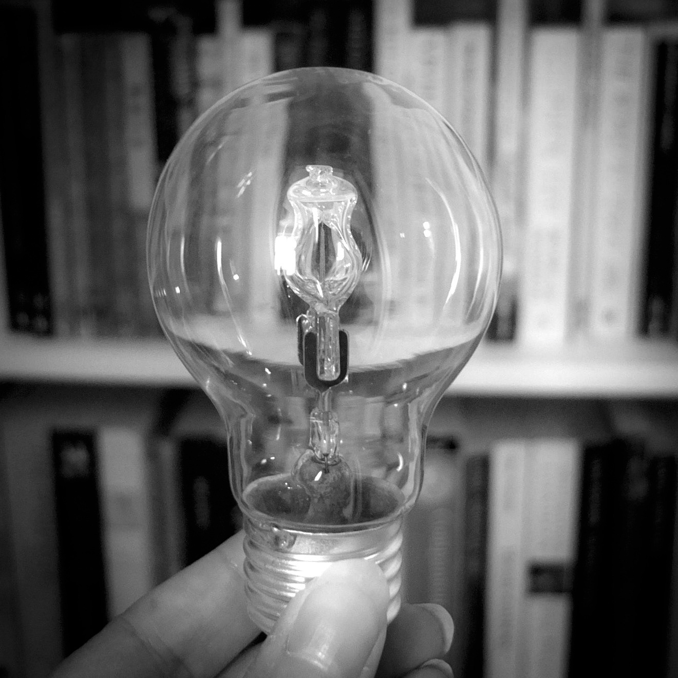 Black and white image of hand holding lightbulb