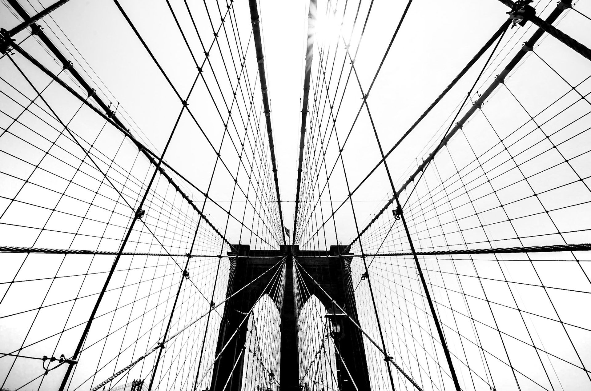 THE NET - New York City, USA