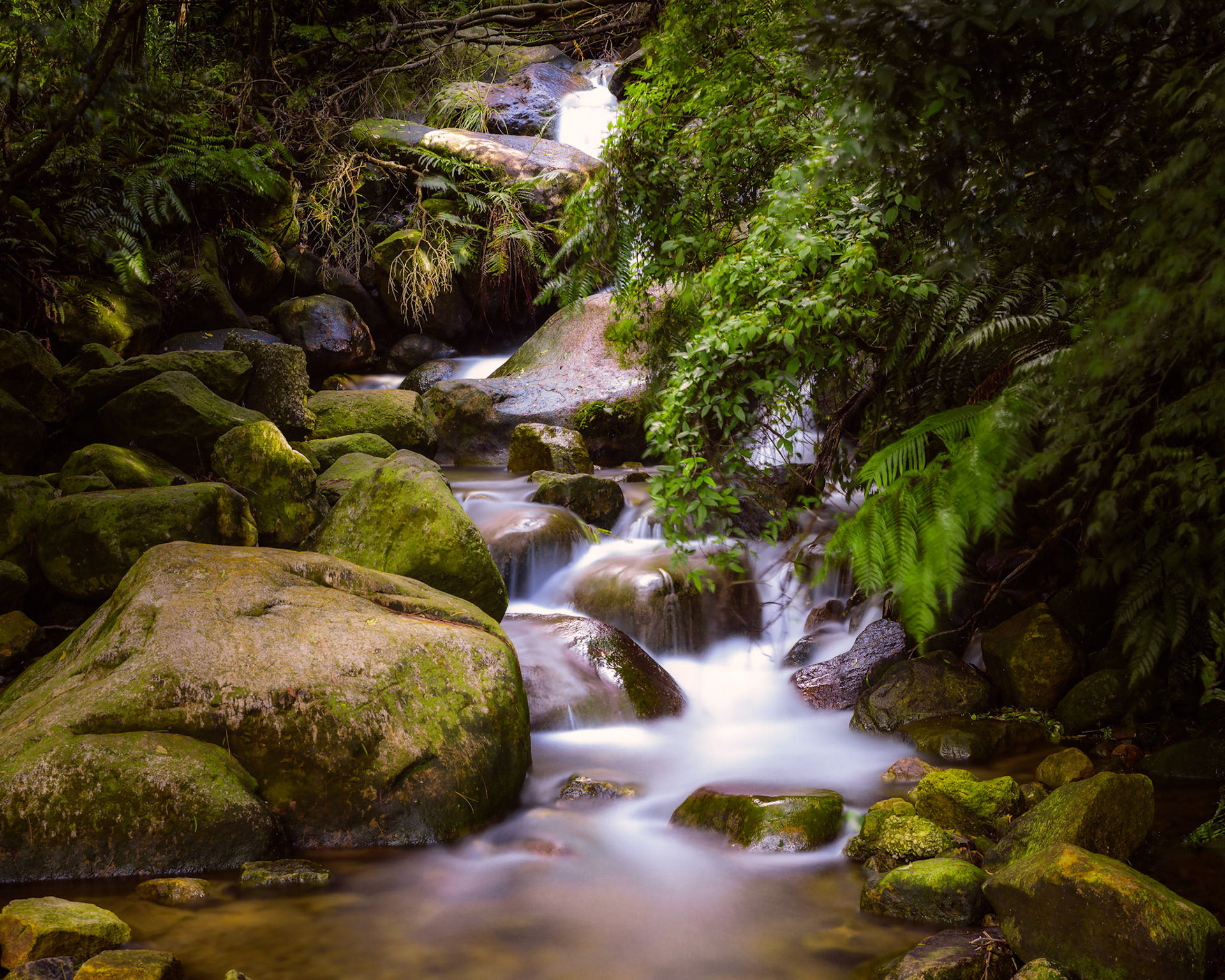 SMALL FALL- Taiwan