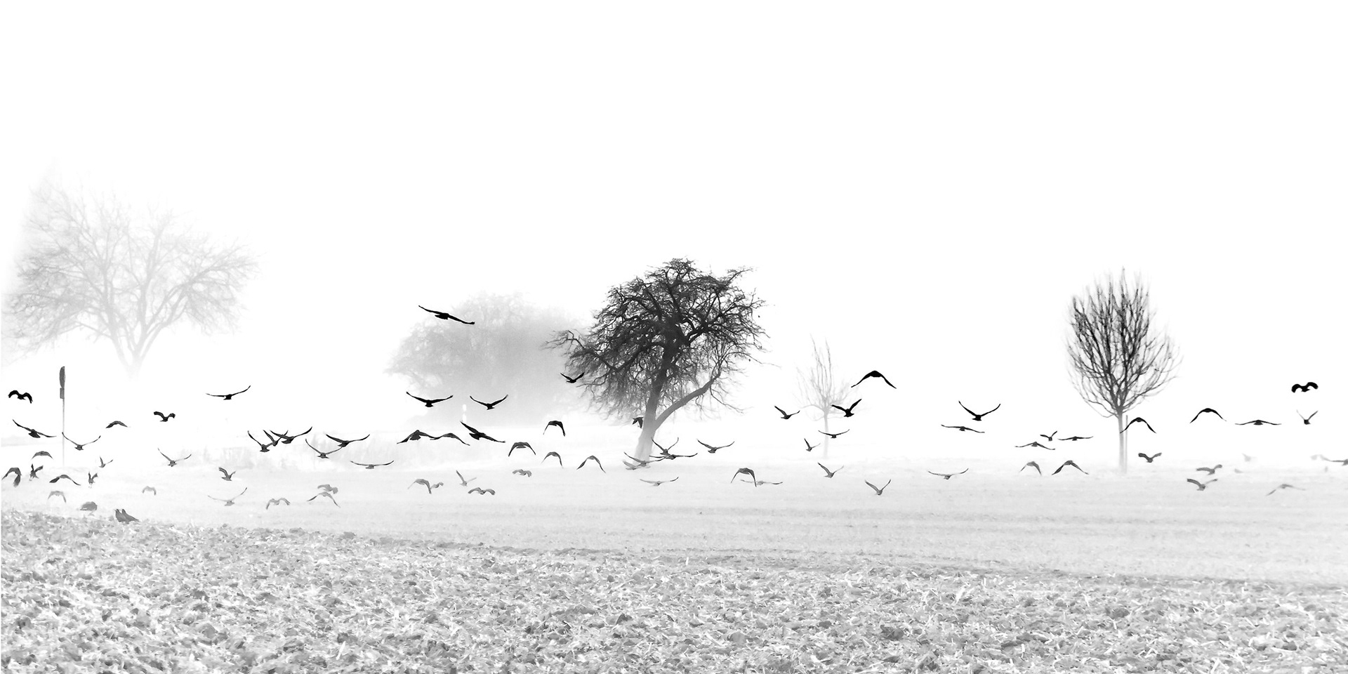 JUMPY - Weinheim, Germany