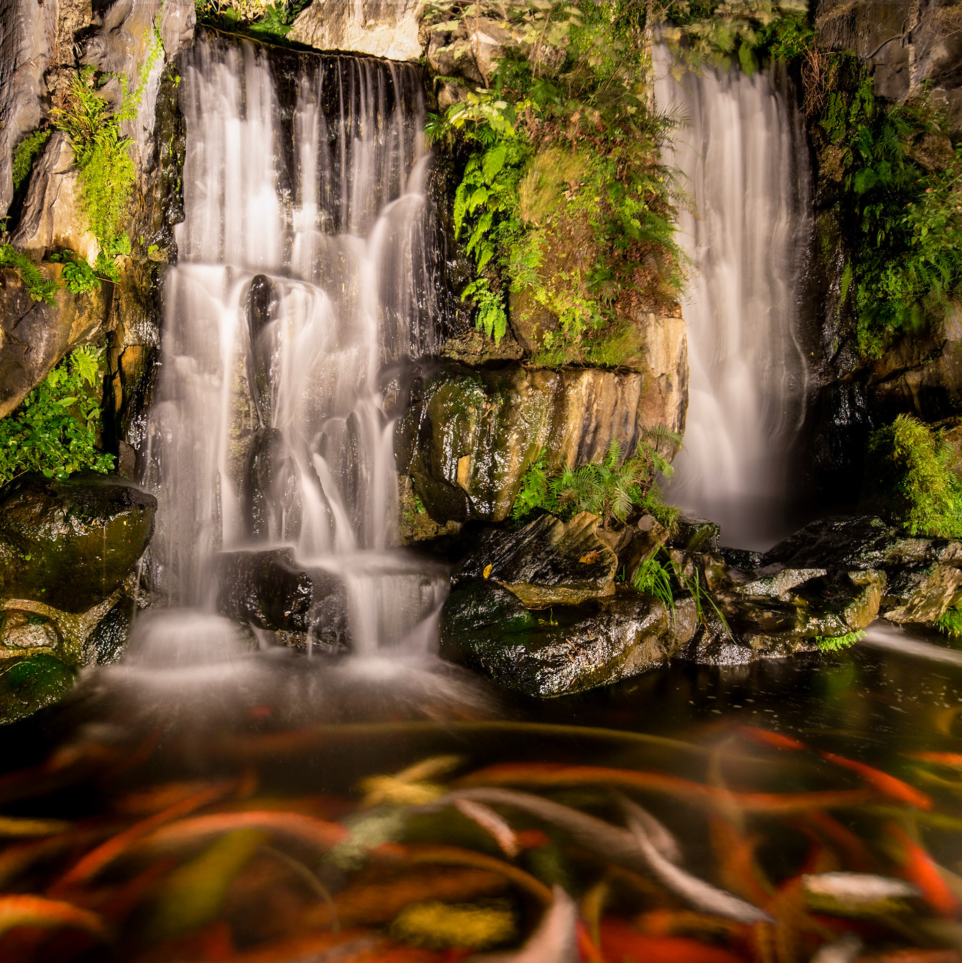 WATERFALL & KOIS, Taiwan